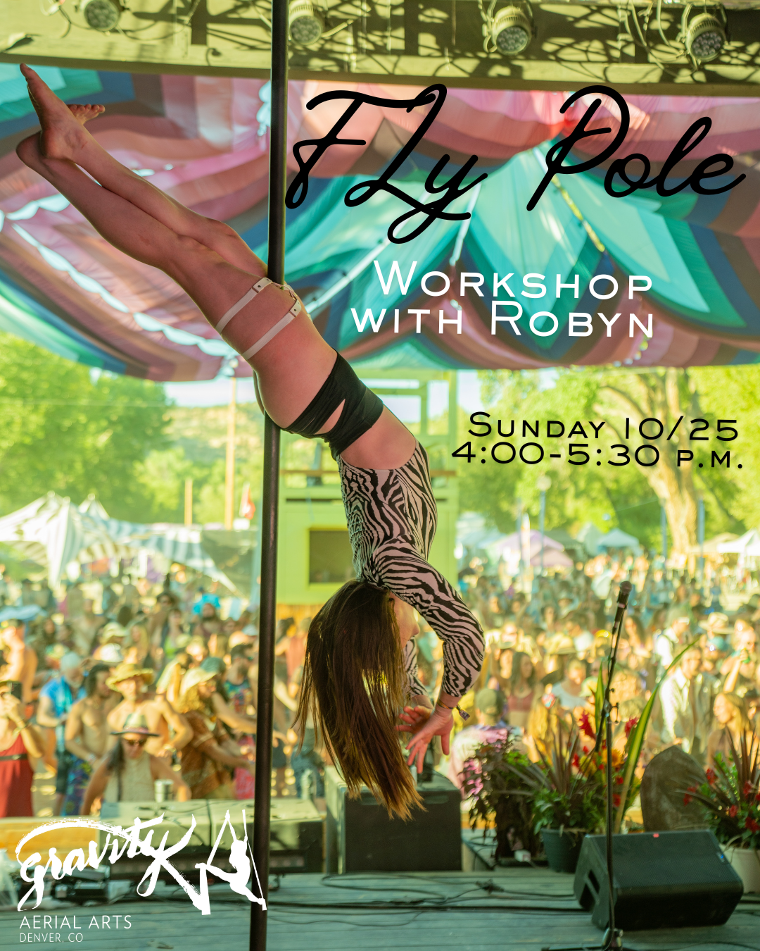 Fly Pole Workshop - with Robyn