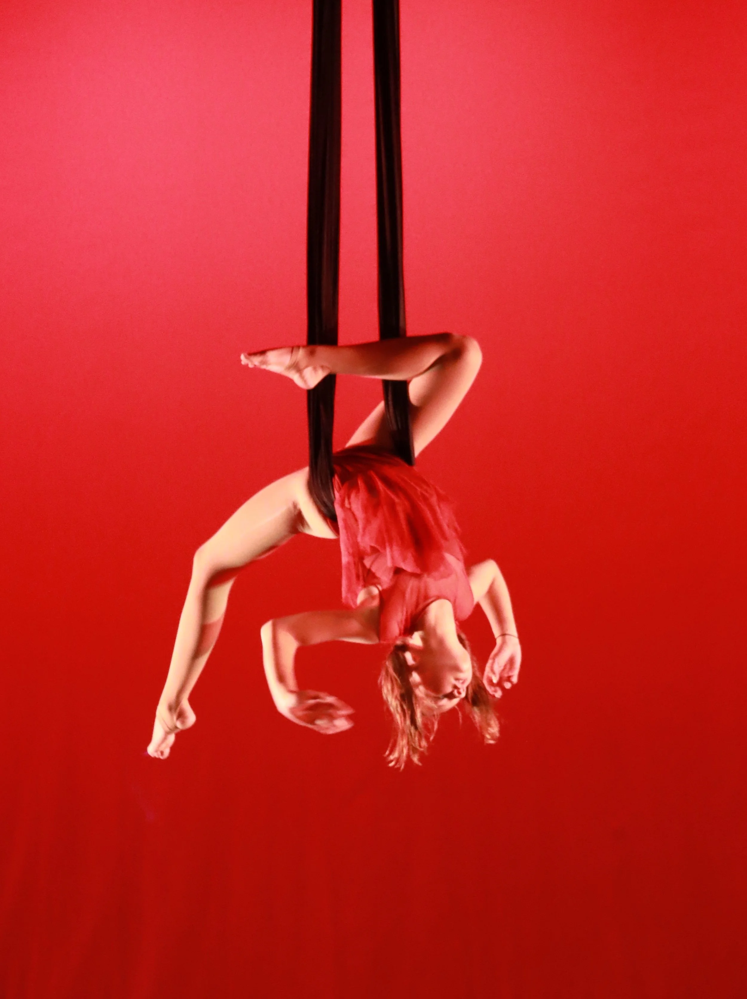 Single Day Aerial Camps