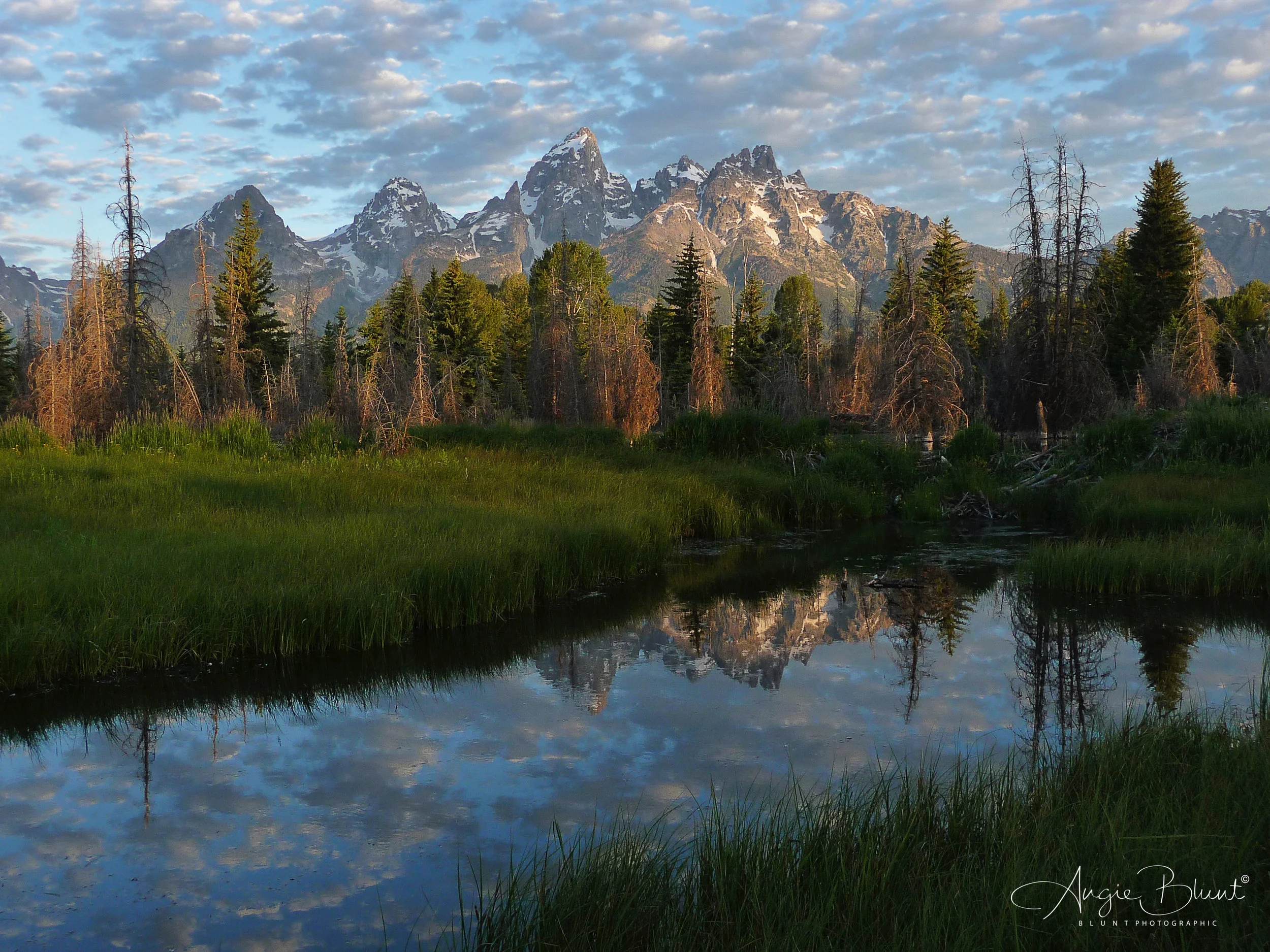 Schwabacher Landing River, Near Jackson Hole, Wyoming (2010) - Angie Blunt