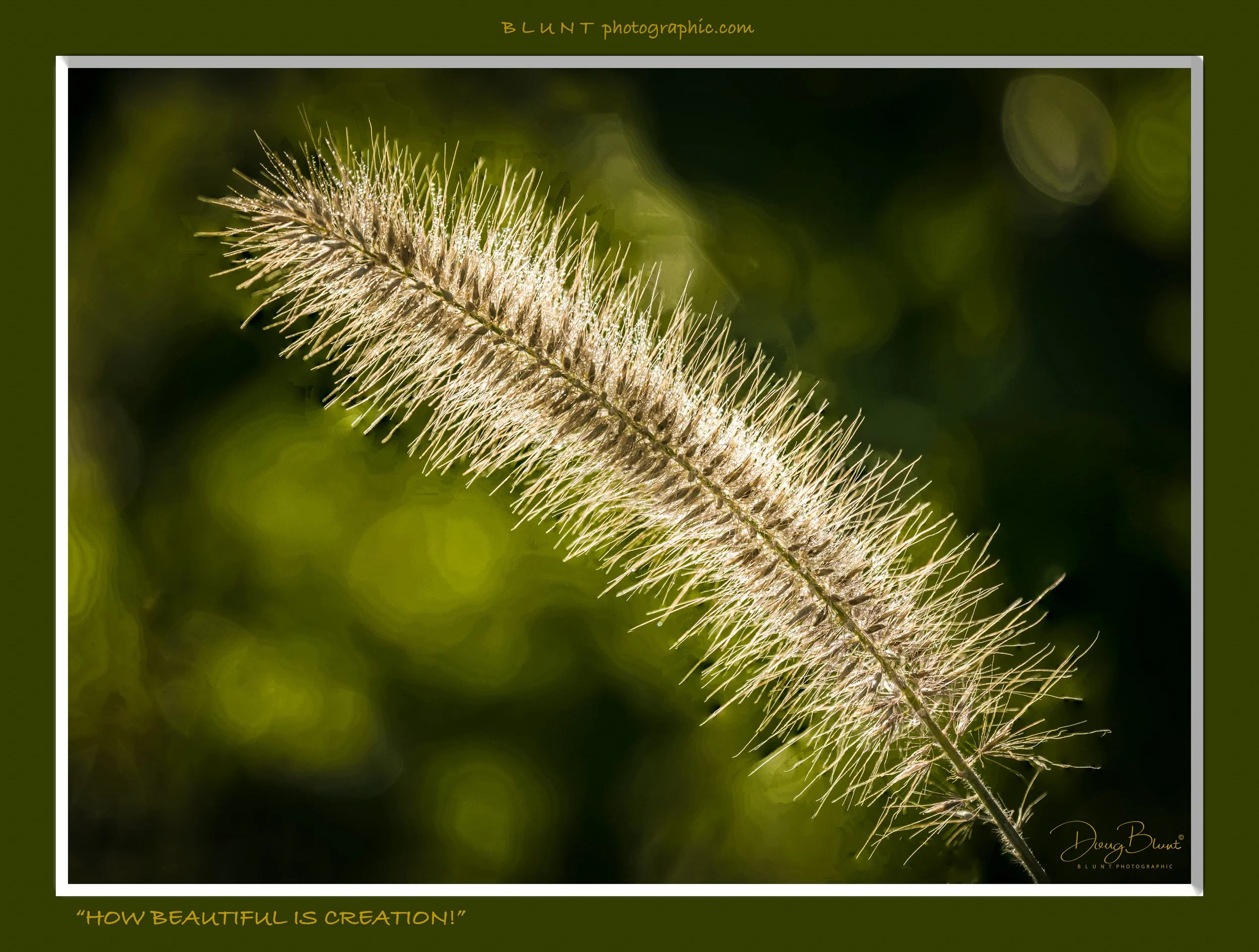 oh-how-breautiful-is-creation-2500-85-240.jpg