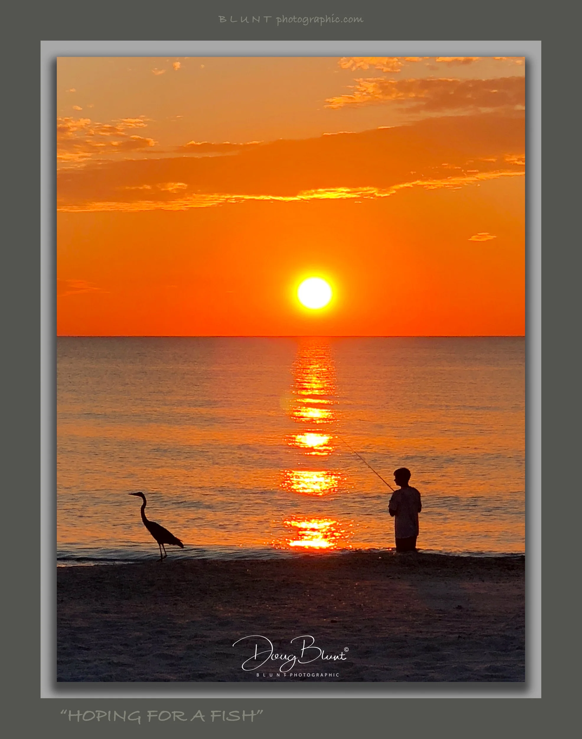 fl-hoping-for-a-fish-2500-85-240.jpg
