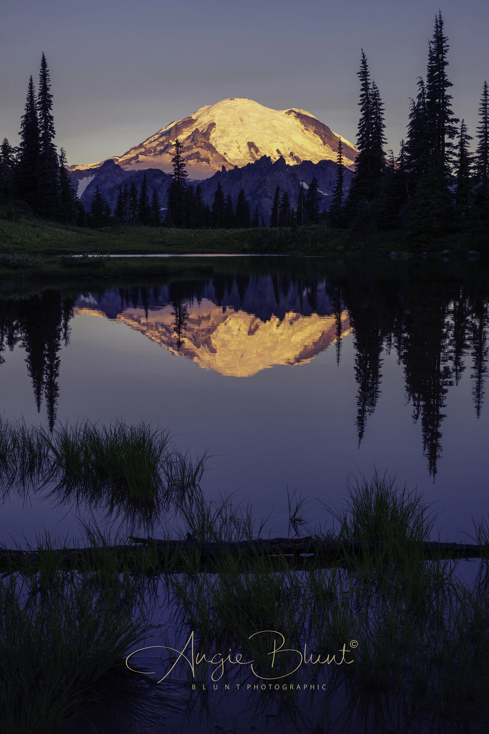 Upper Tipsoo Lake, Mt. Rainier National Park, Washington (2018) - Angie Blunt