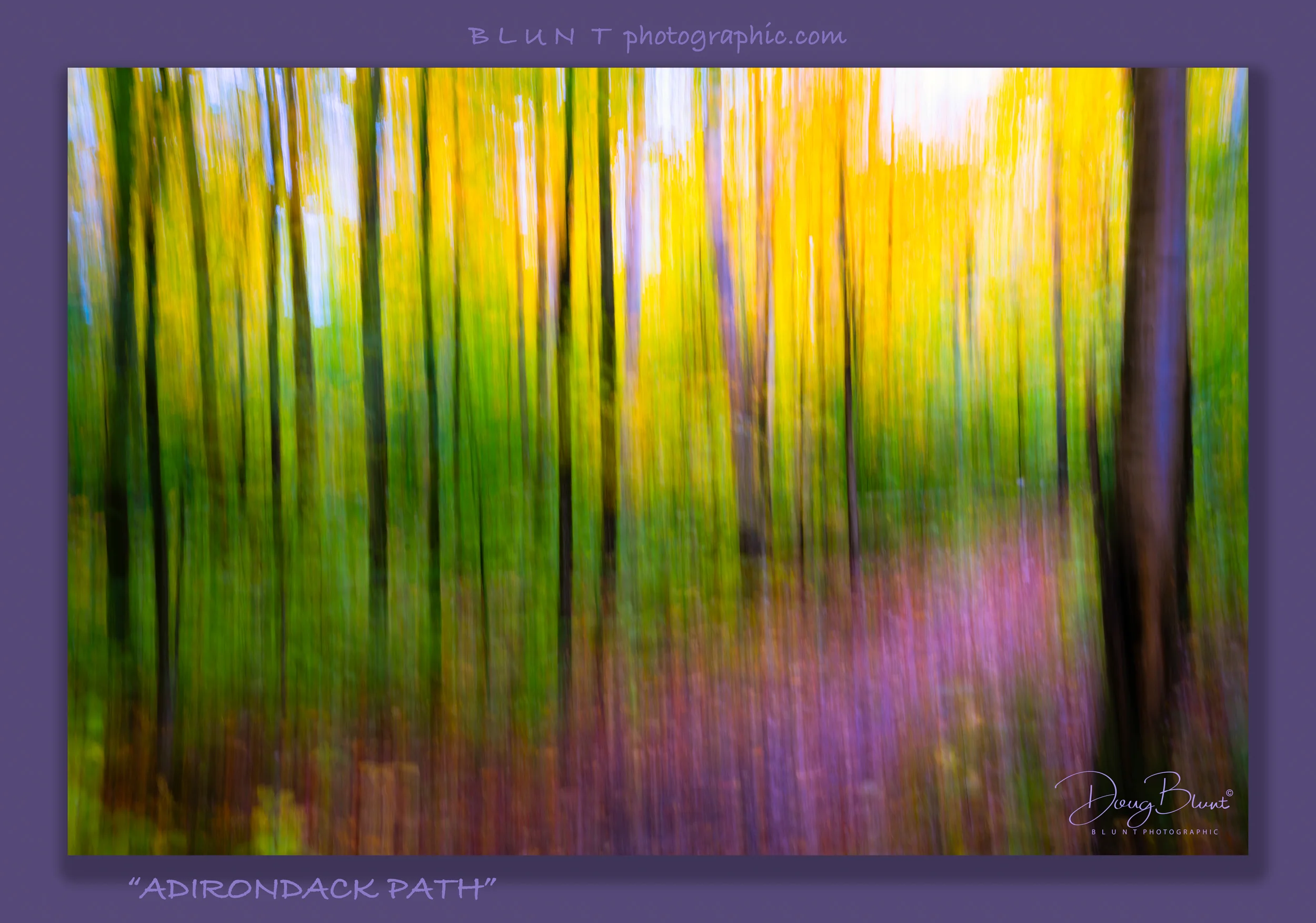 adirondack-path-2.jpg