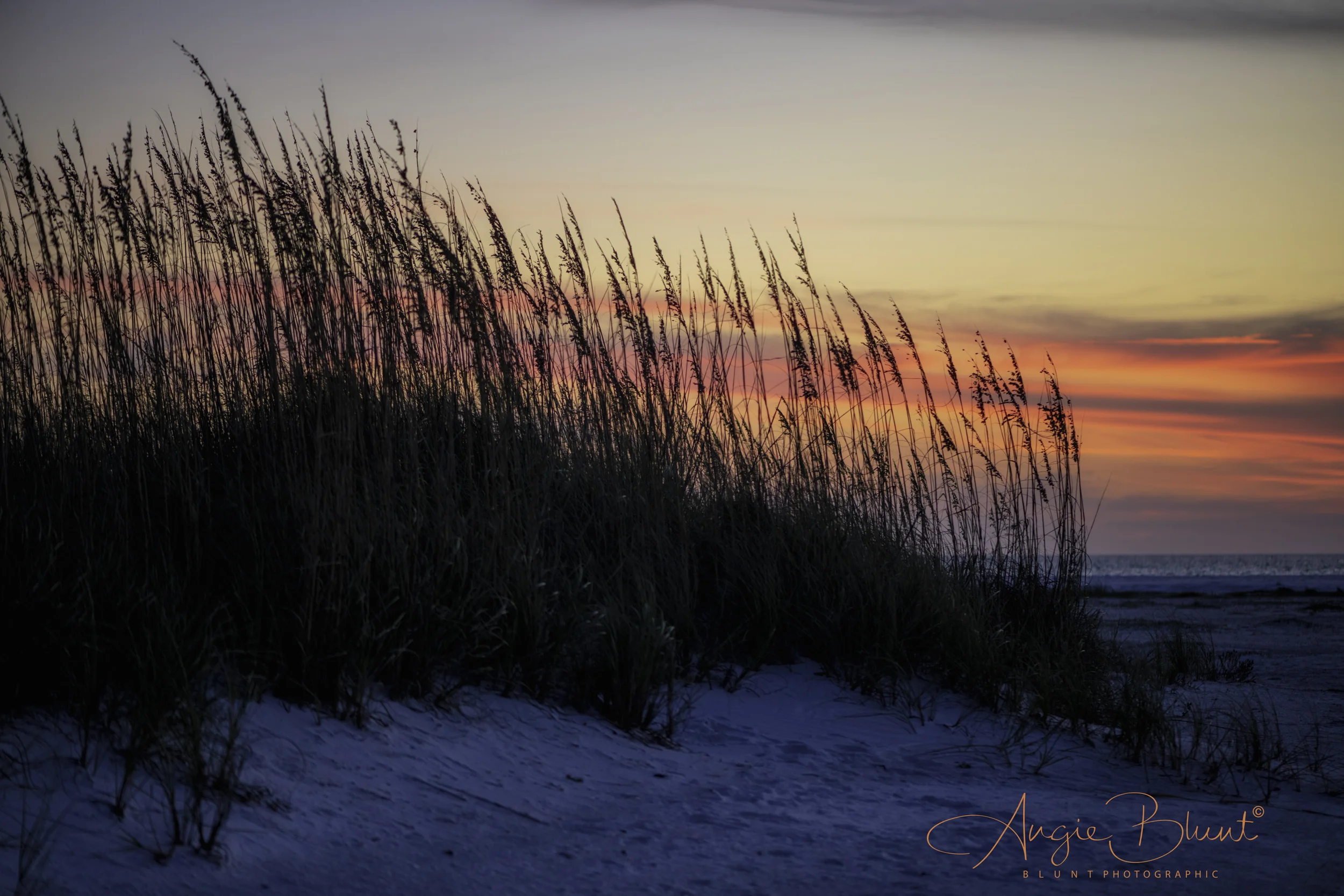 November 11, 2018_Florida Nov-Dec_102-Edit.jpg