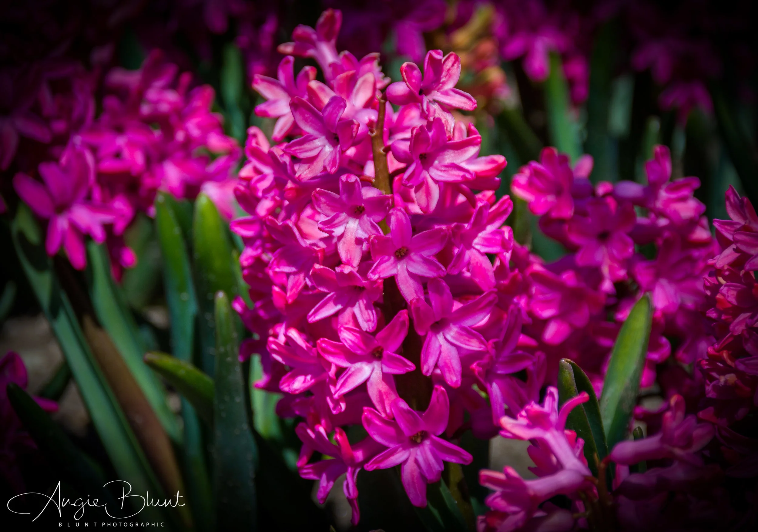 May 01, 2018_Lakeview Cemetery_001-Edit.jpg