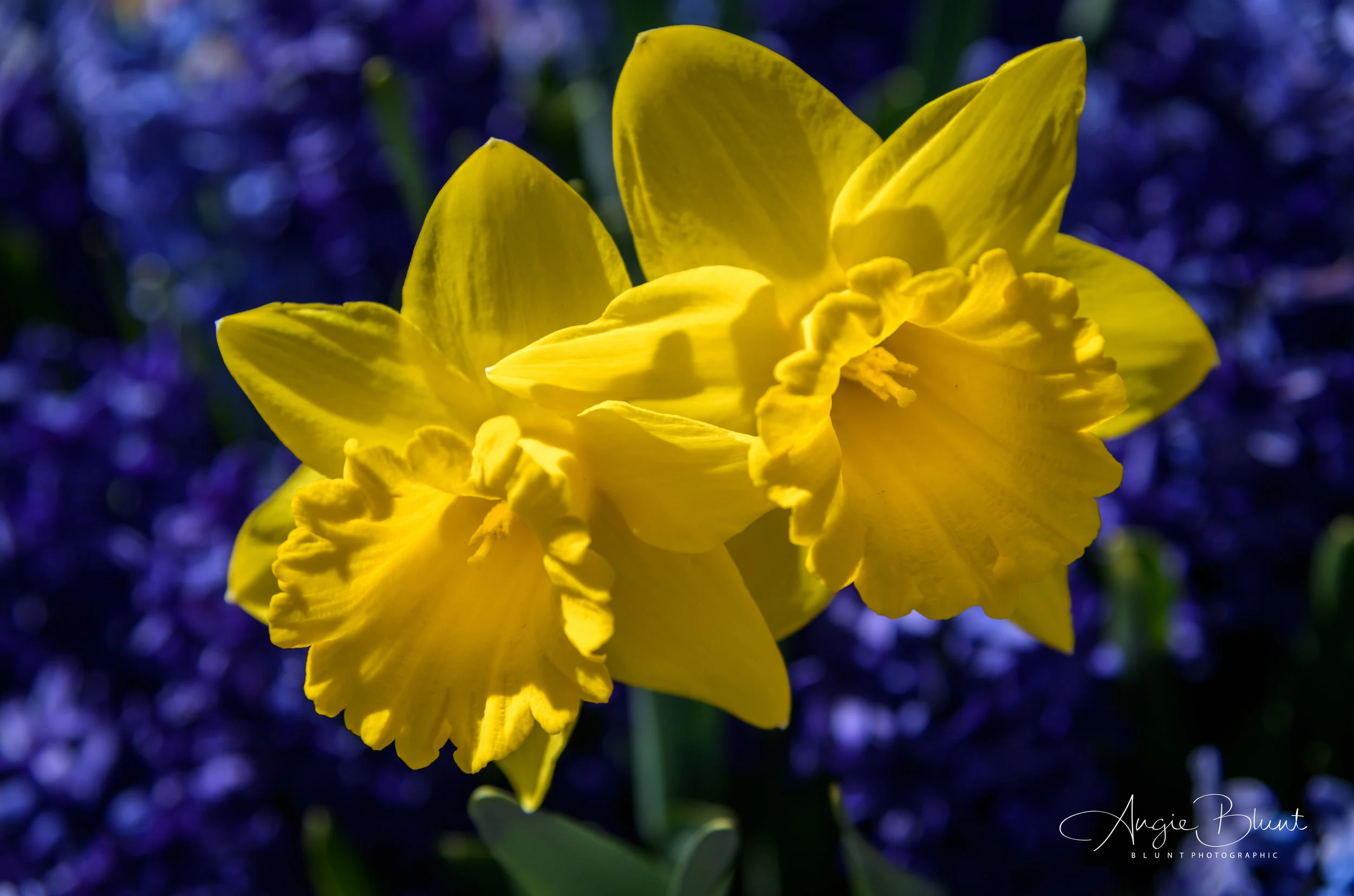 May 01, 2018_Lakeview Cemetery_017.jpg