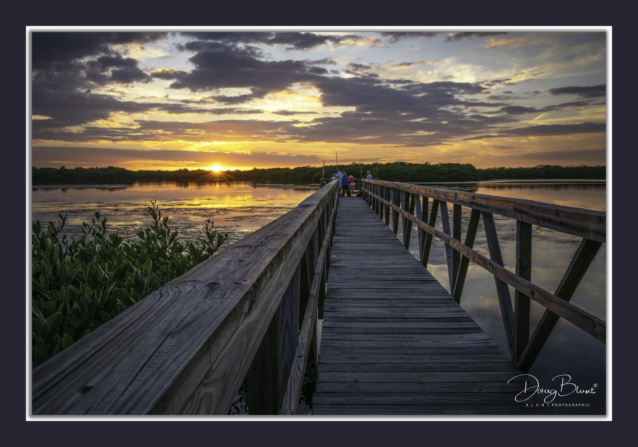 spoonbill-pier.jpg
