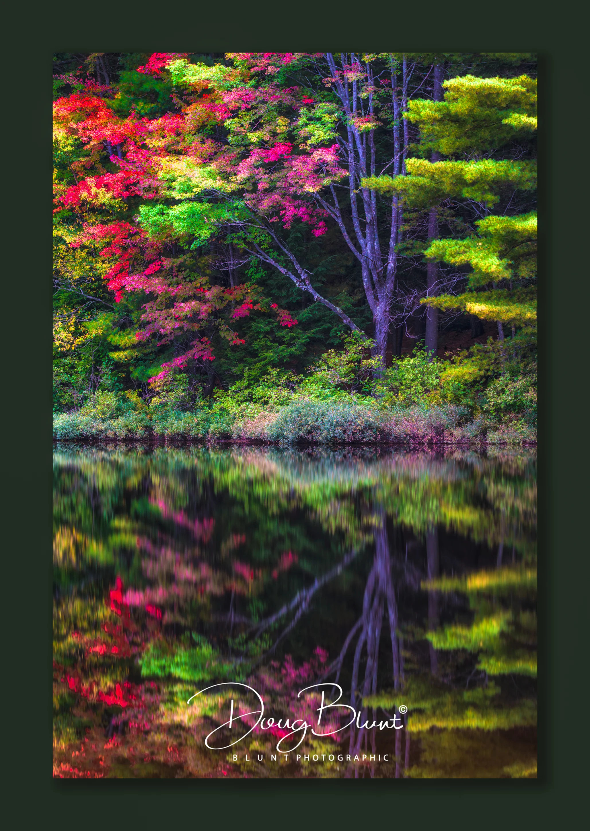 fall-leaves-adirondacks.jpg