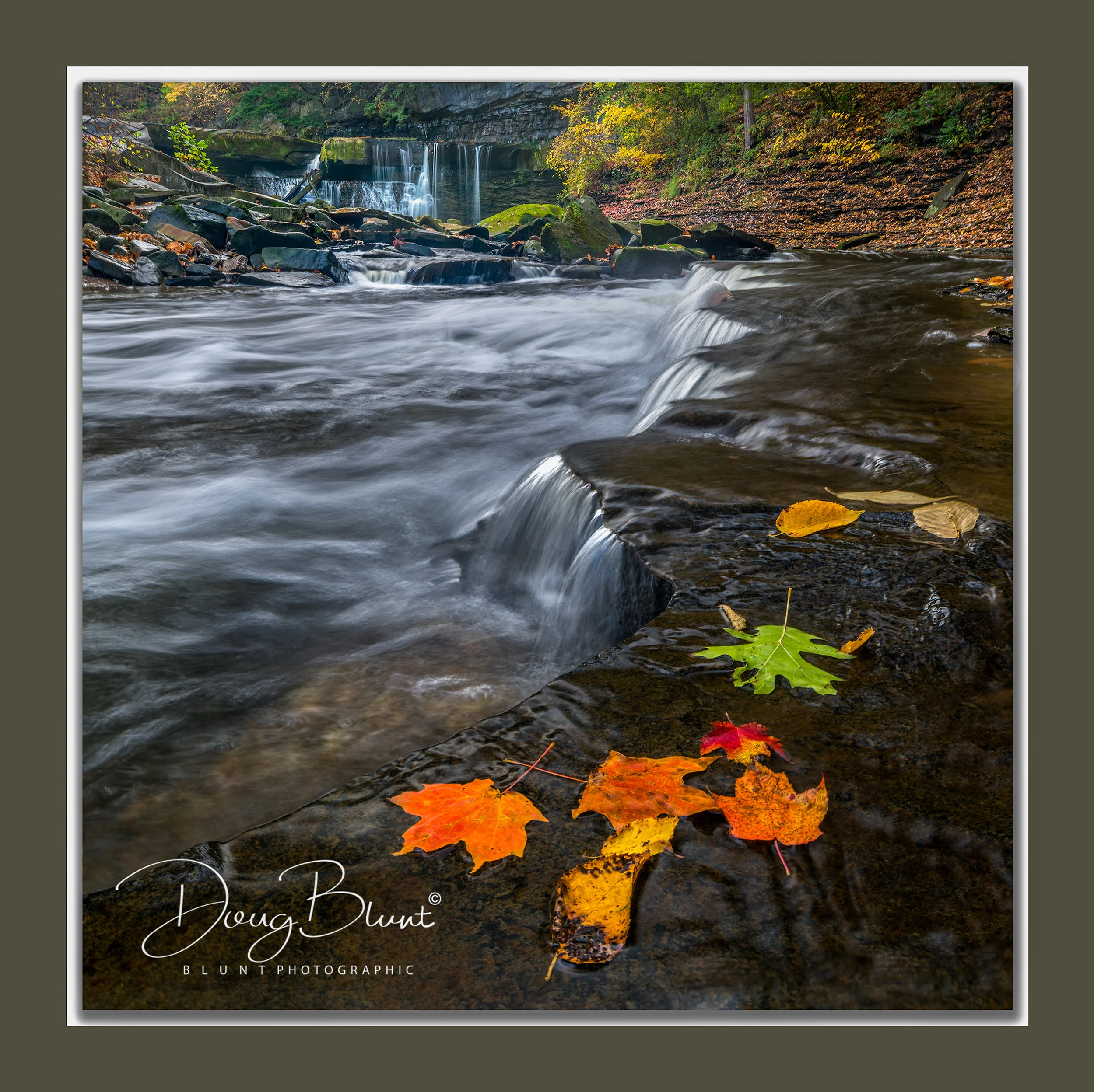 great-falls-ledgefall.jpg