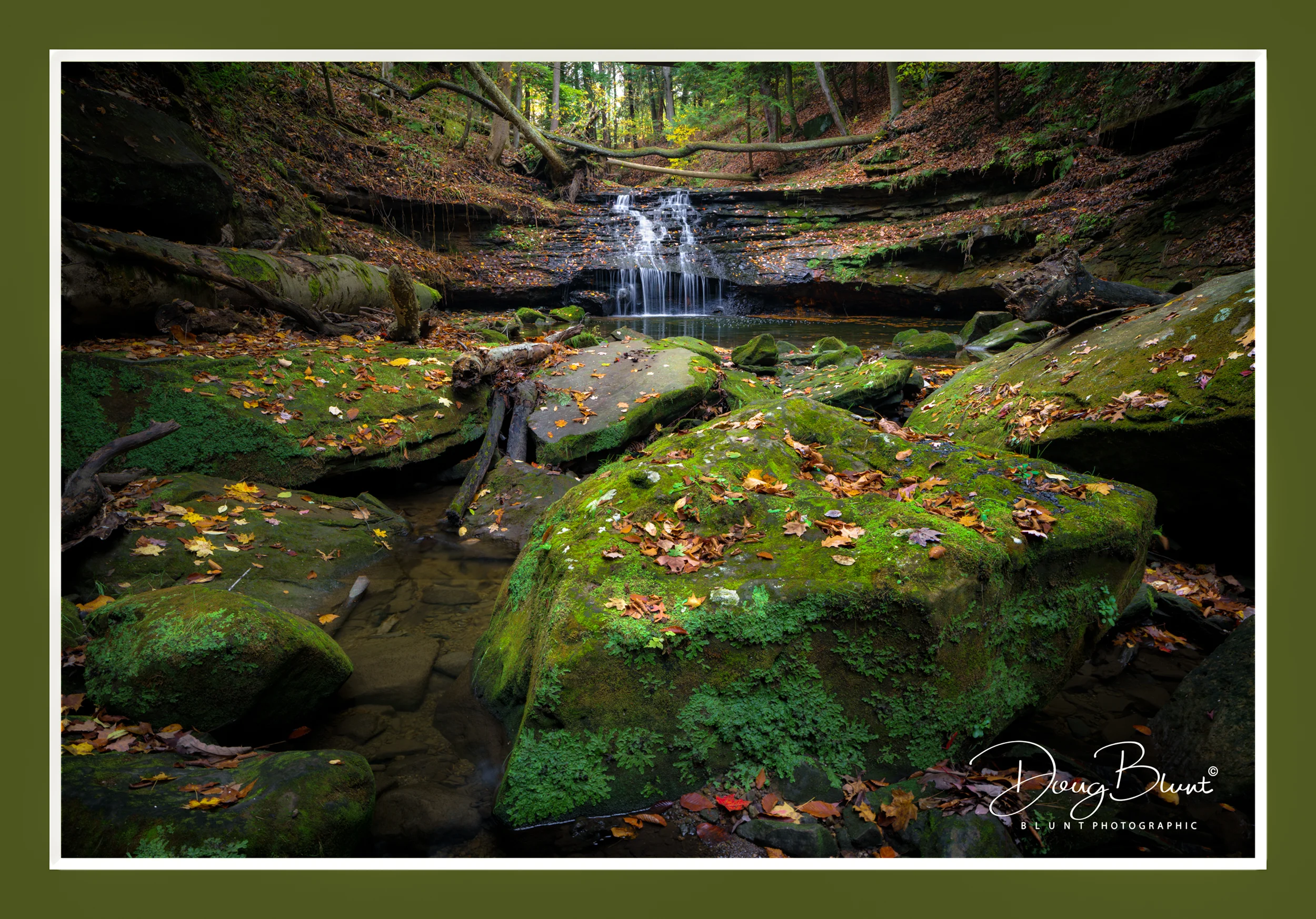 mill-creek-park.jpg