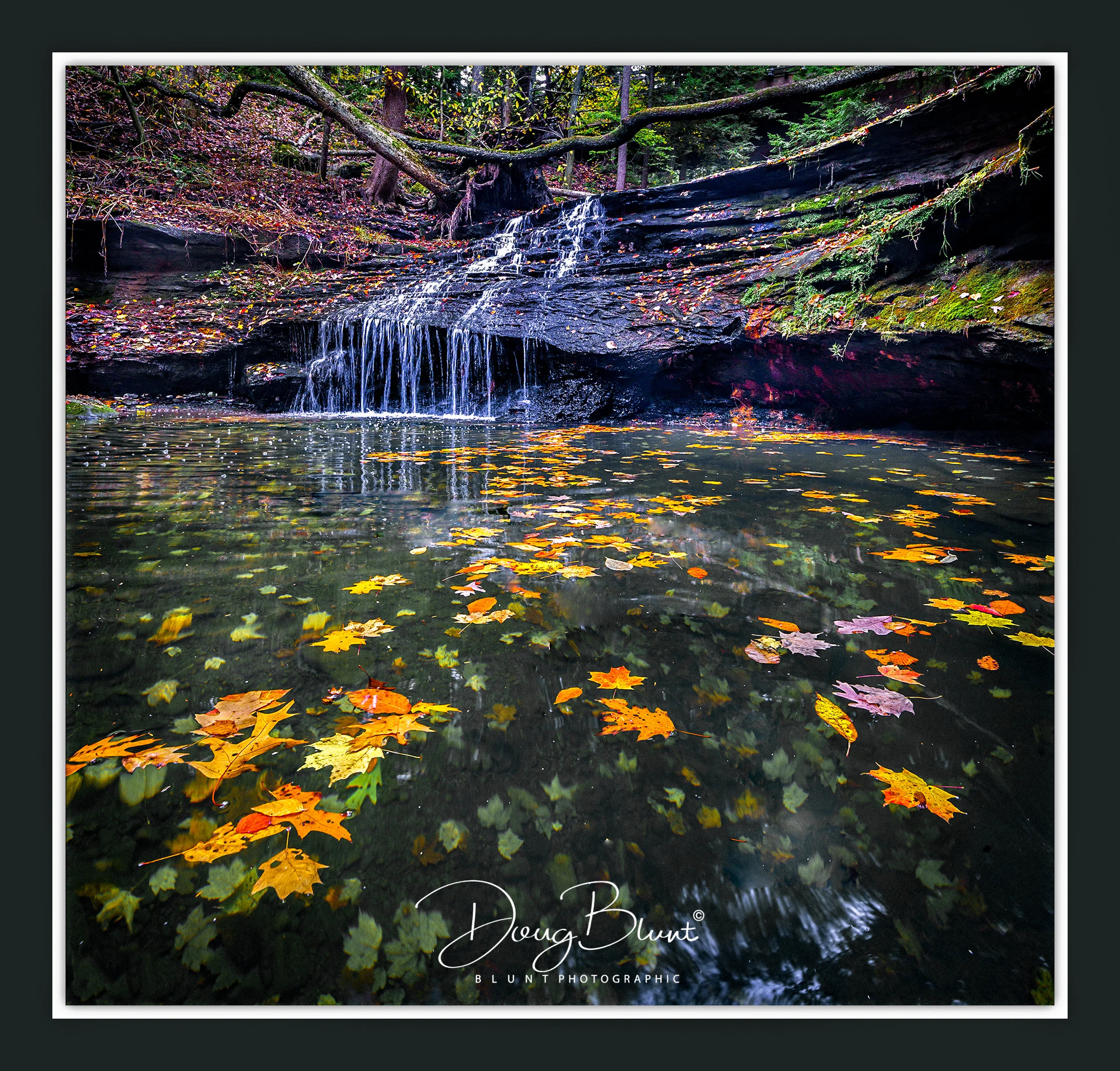 mill-creek-park-2.jpg