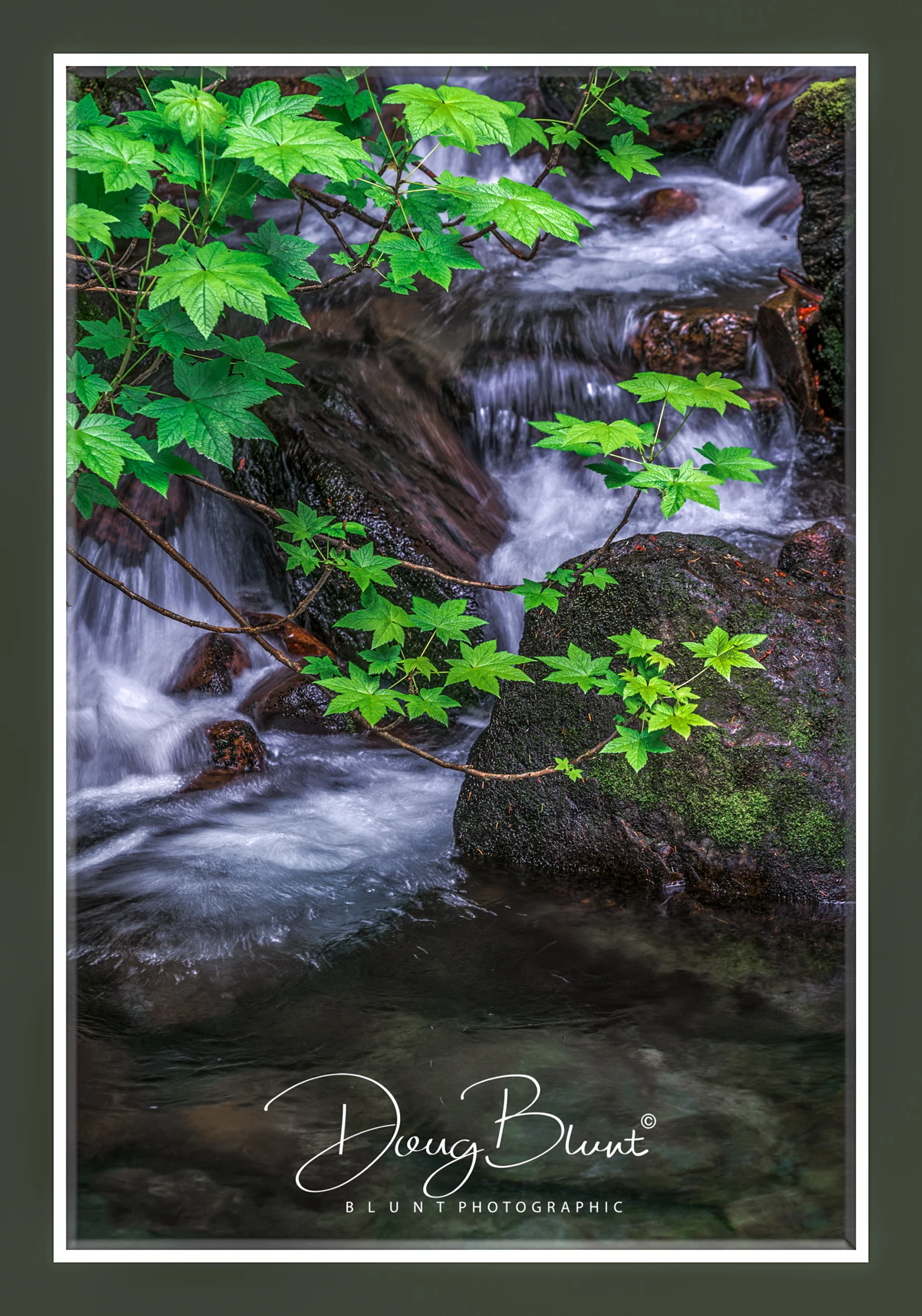 pnw-last-day-waterfalls.jpg
