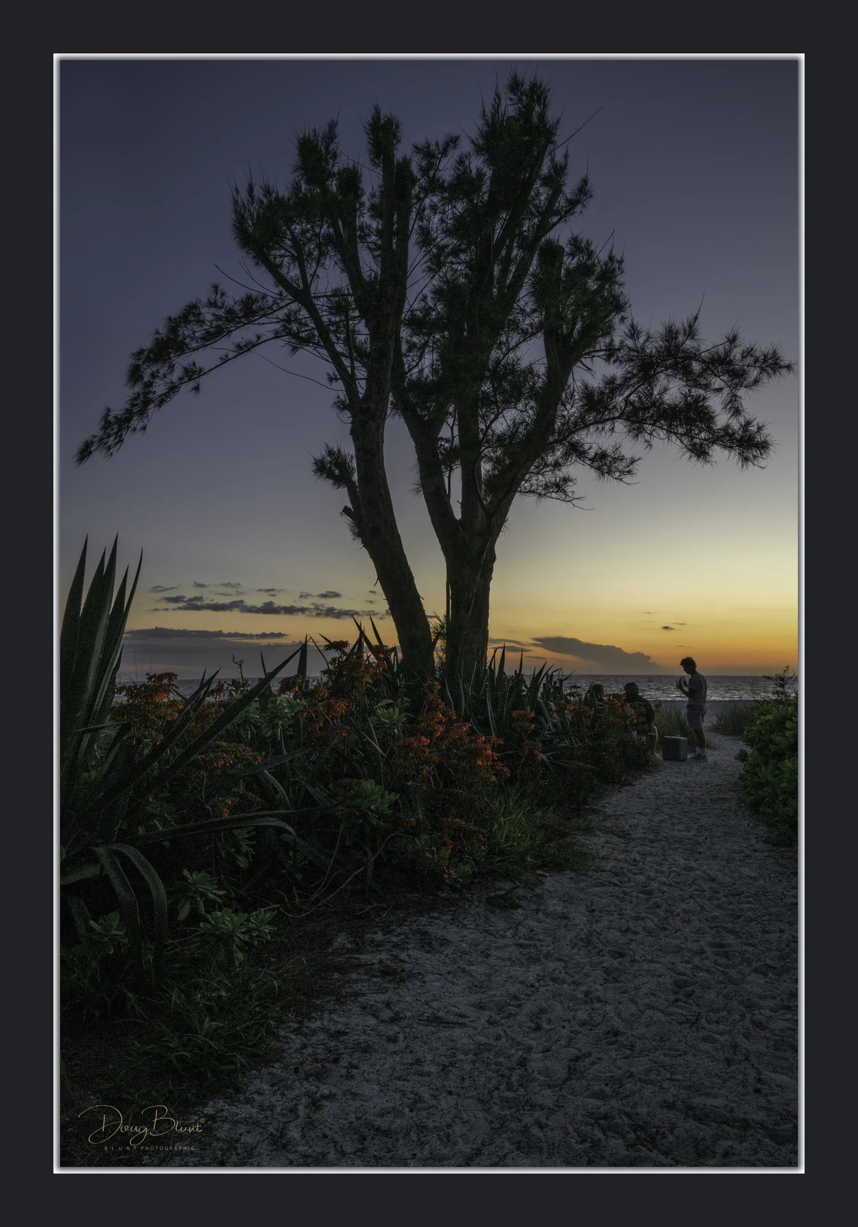 manatee-beach-earlier.jpg