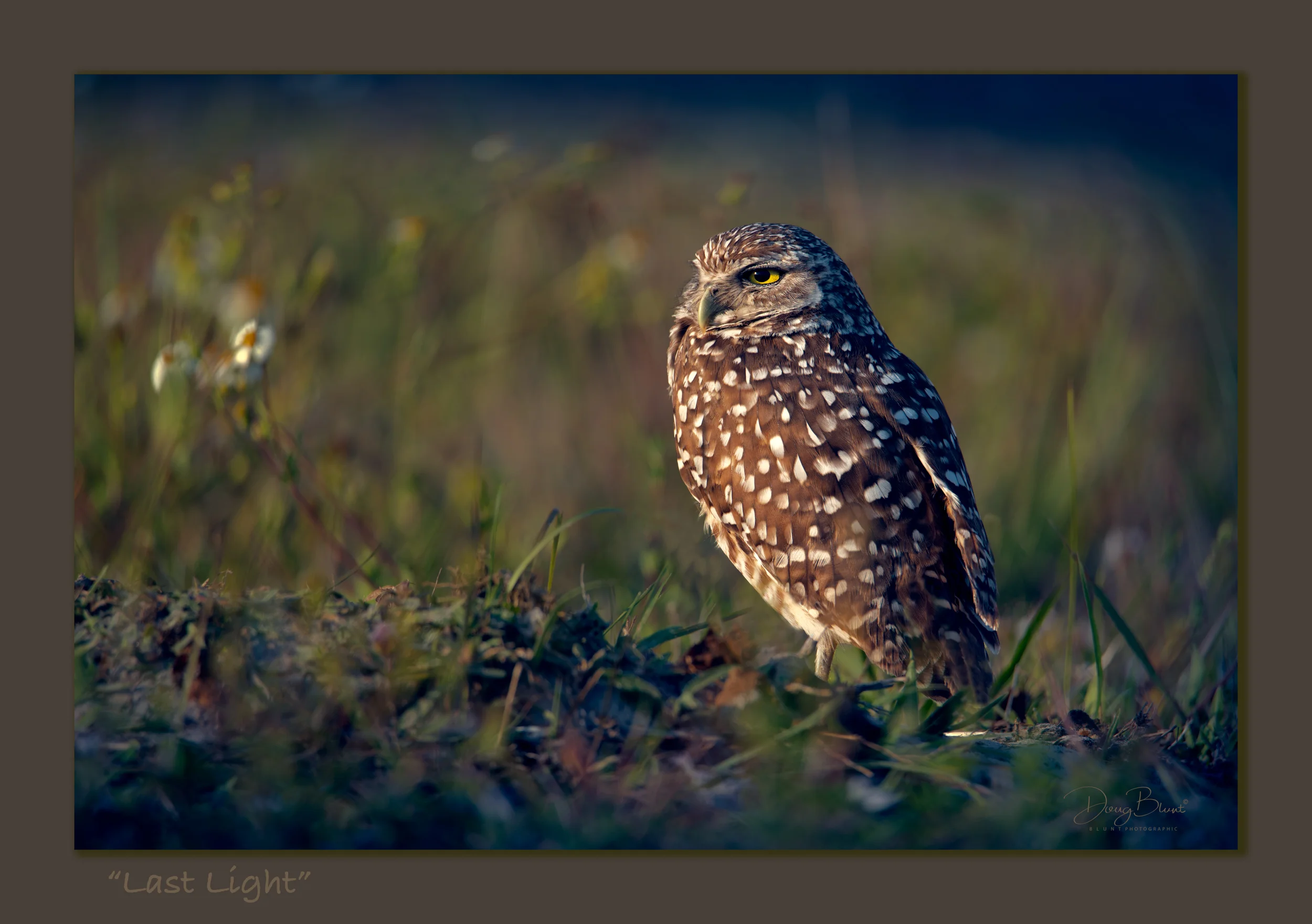 last-light-at-cape-coral.jpg