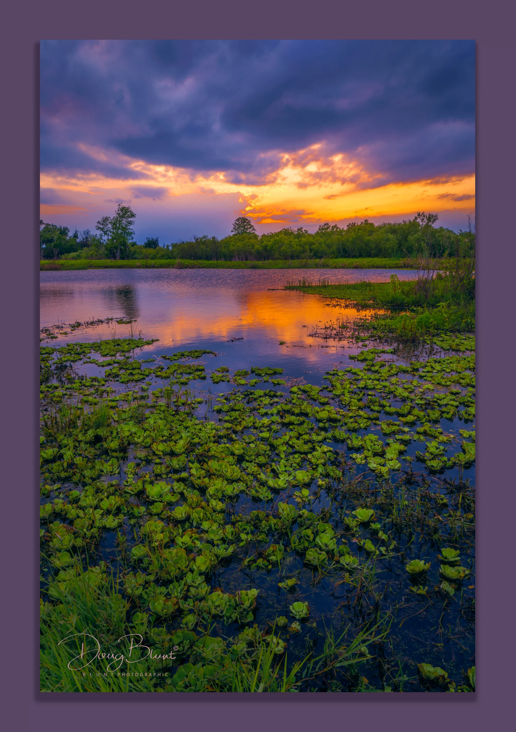 circle-b-slough-at-sunset-2.jpg