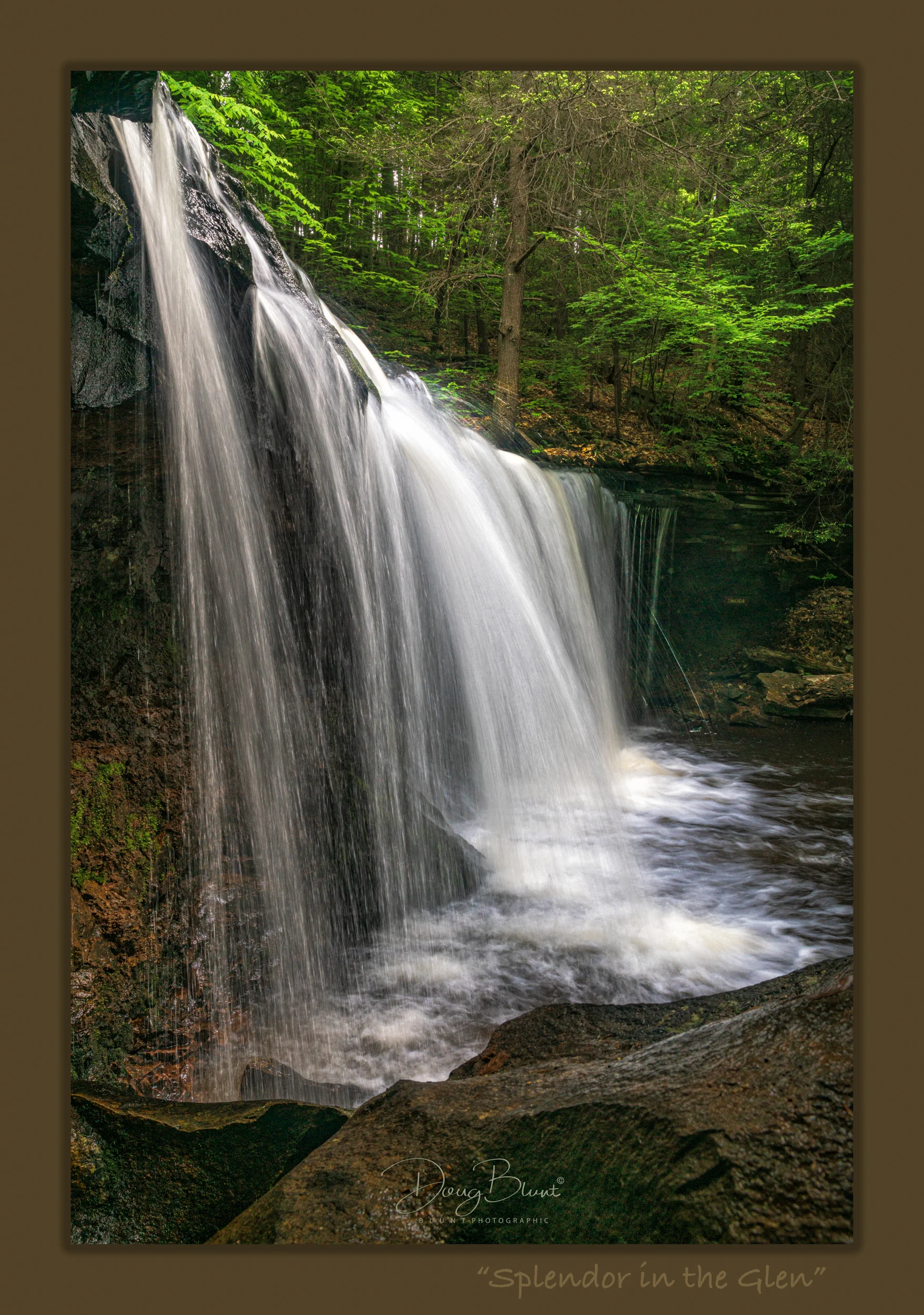 splendor-in-the-glen.jpg
