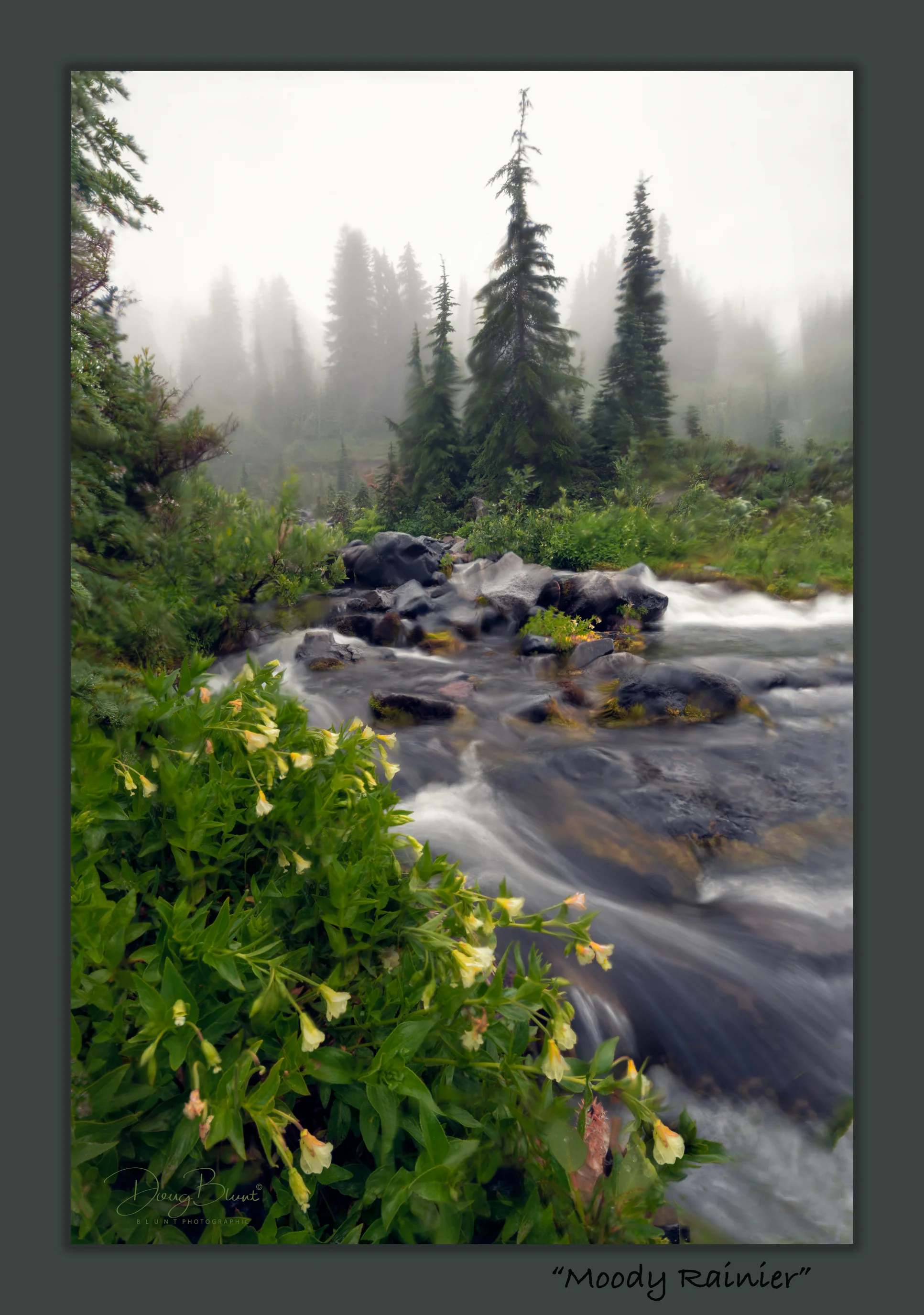 moody-rainier.jpg