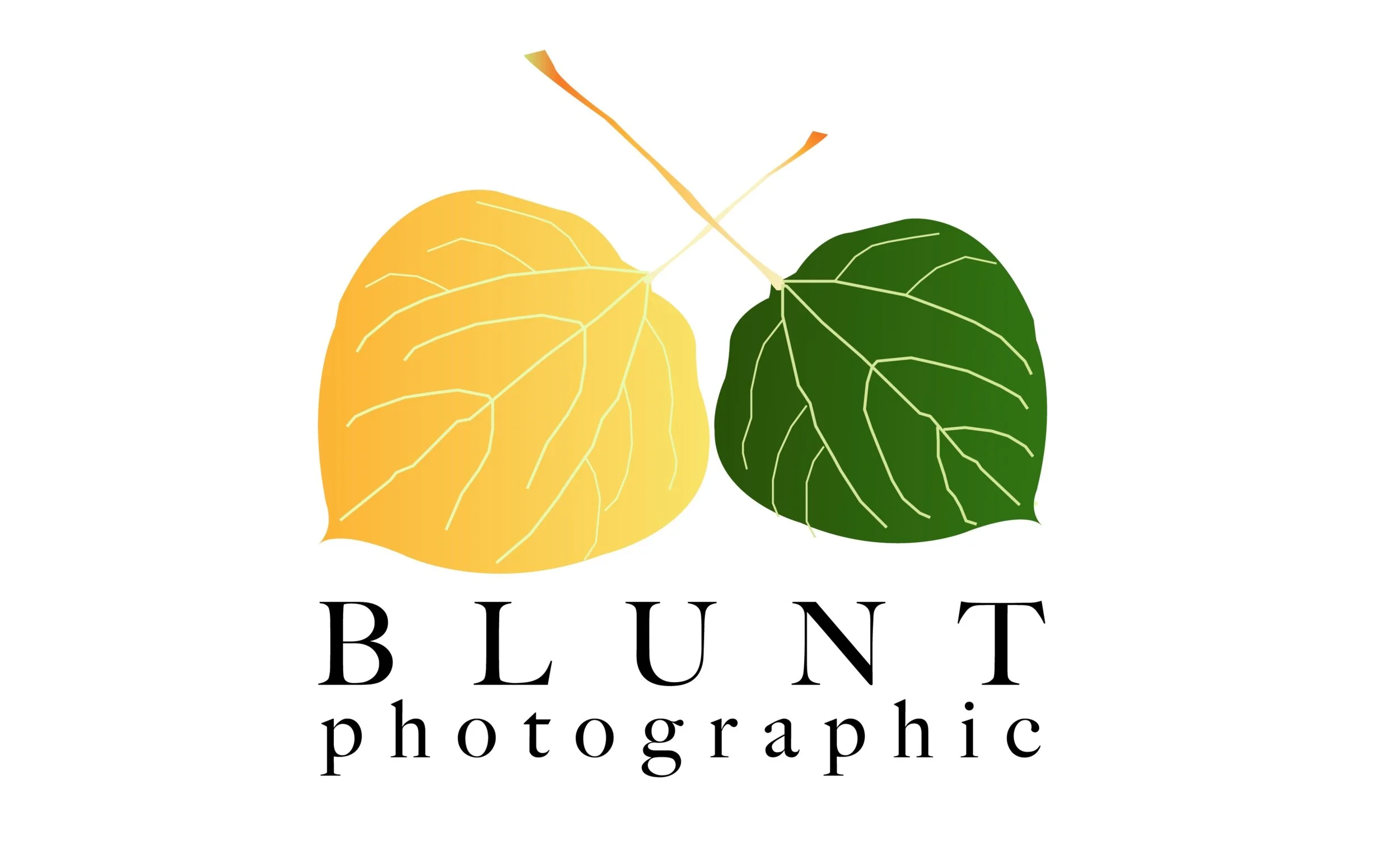 LOGO+PNG.jpg