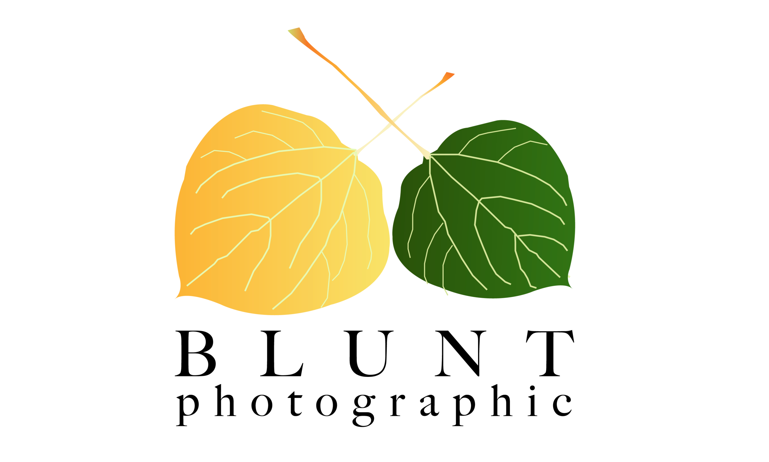 LOGO PNG.png