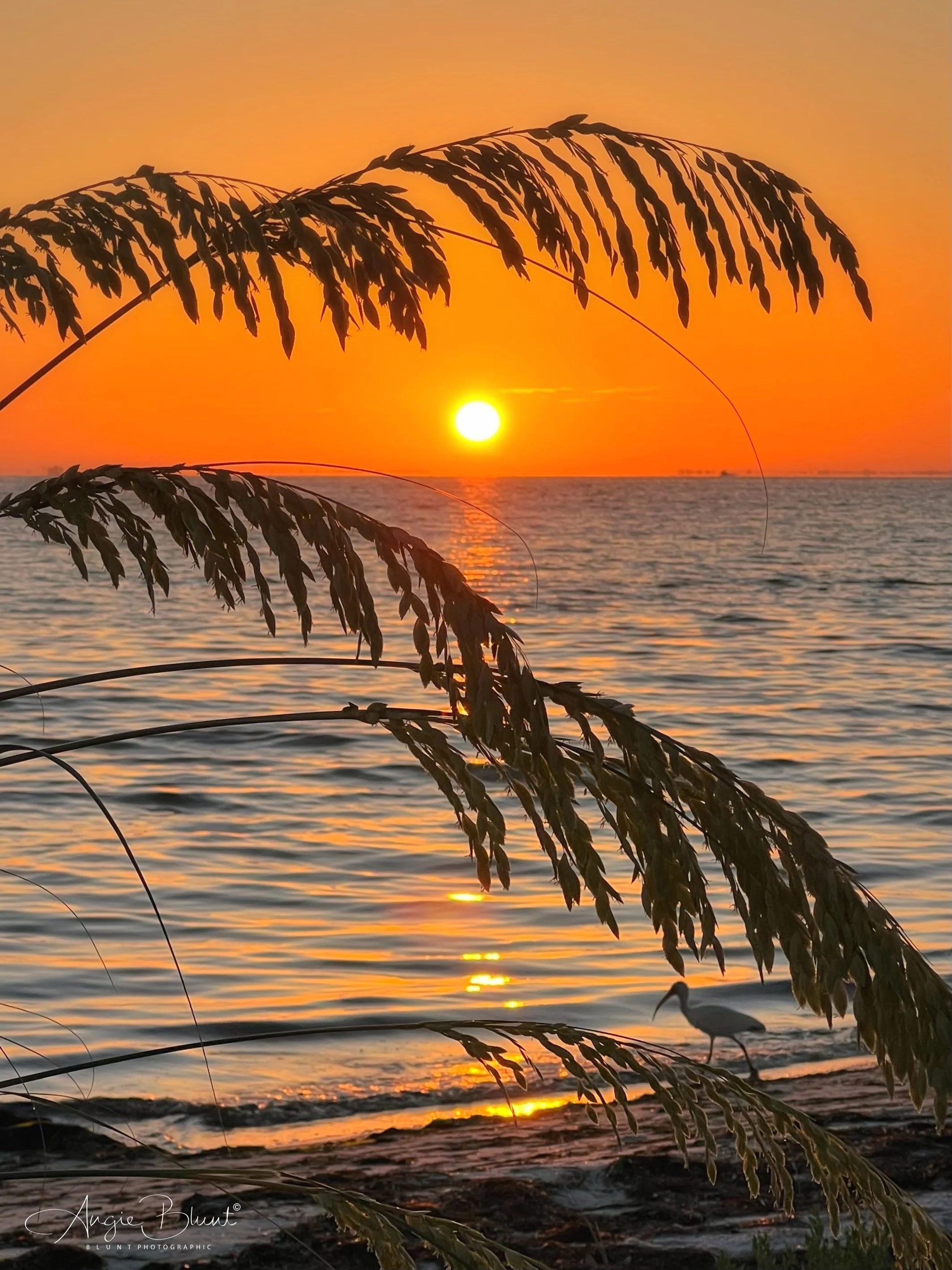 eZy Watermark_04-07-2022_07-45-48PM.JPG