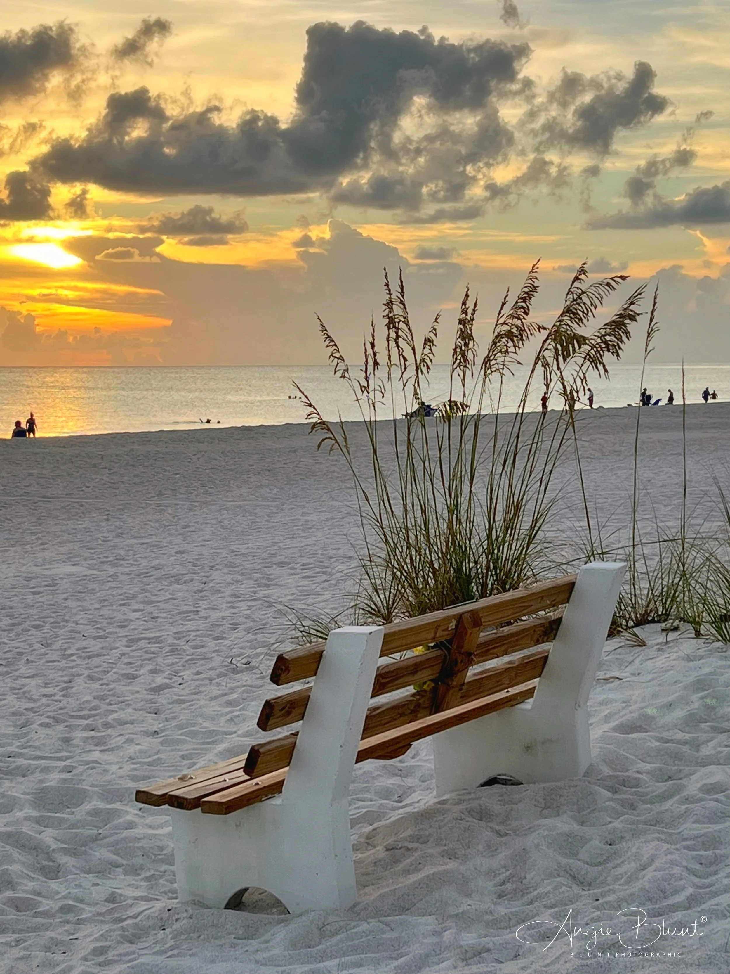 eZy Watermark_02-07-2022_09-37-00AM.JPG