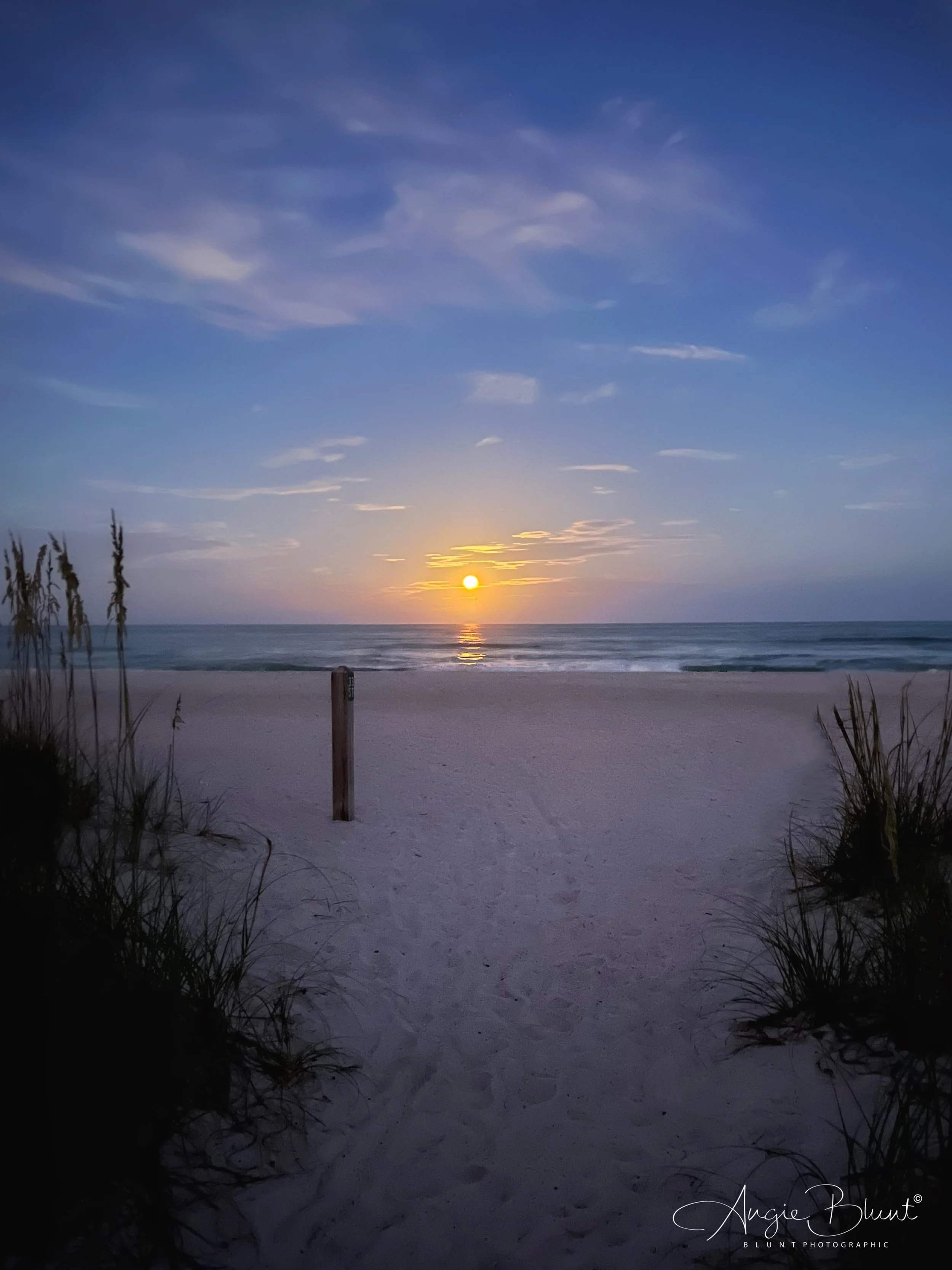 eZy Watermark_14-07-2022_08-24-32AM.JPG