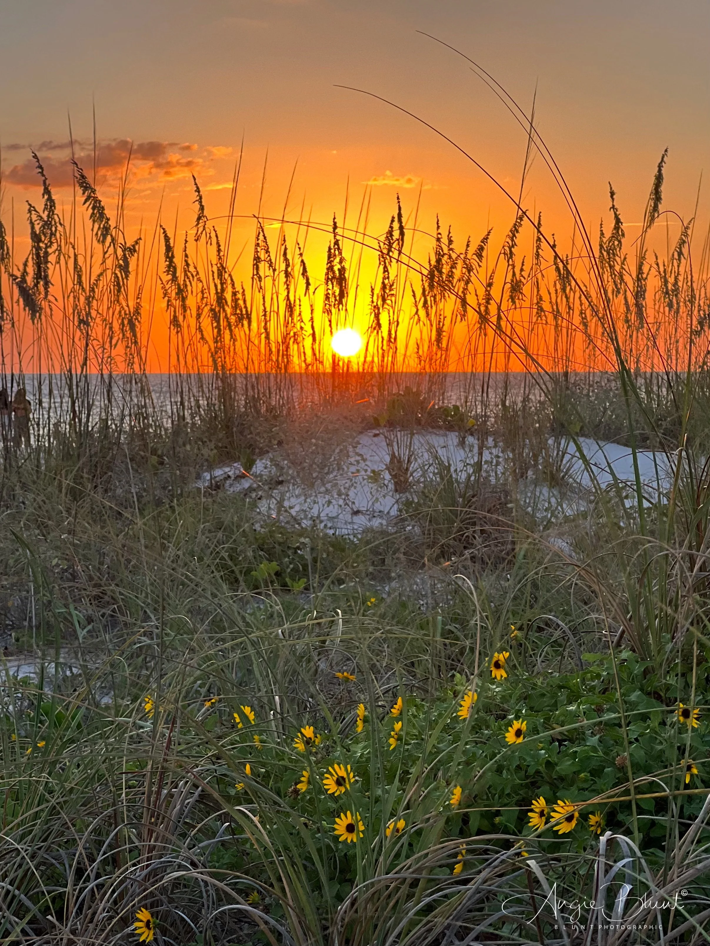 eZy Watermark_31-07-2022_09-15-08PM.JPG