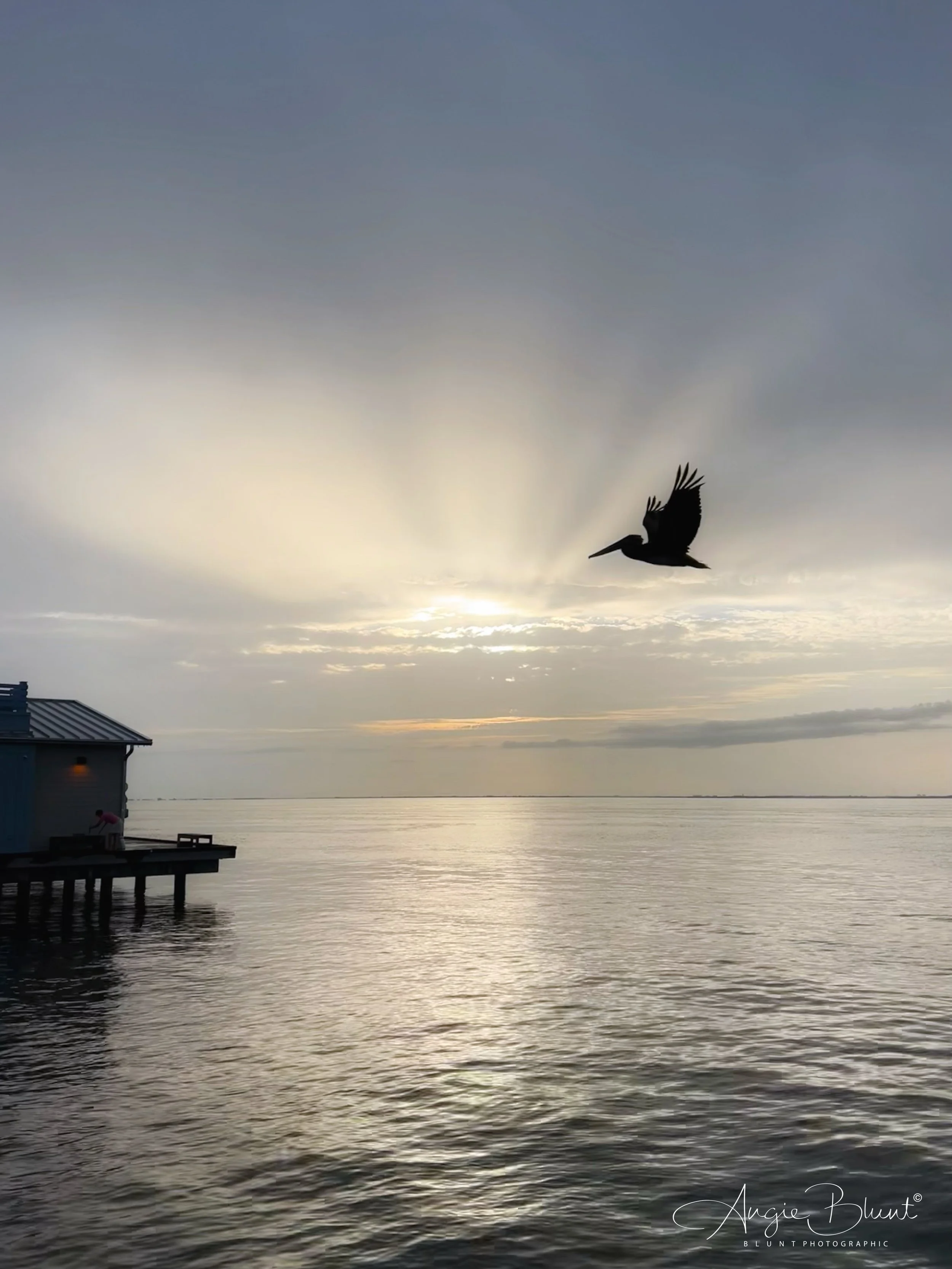 eZy Watermark_15-08-2022_08-12-59PM.JPG