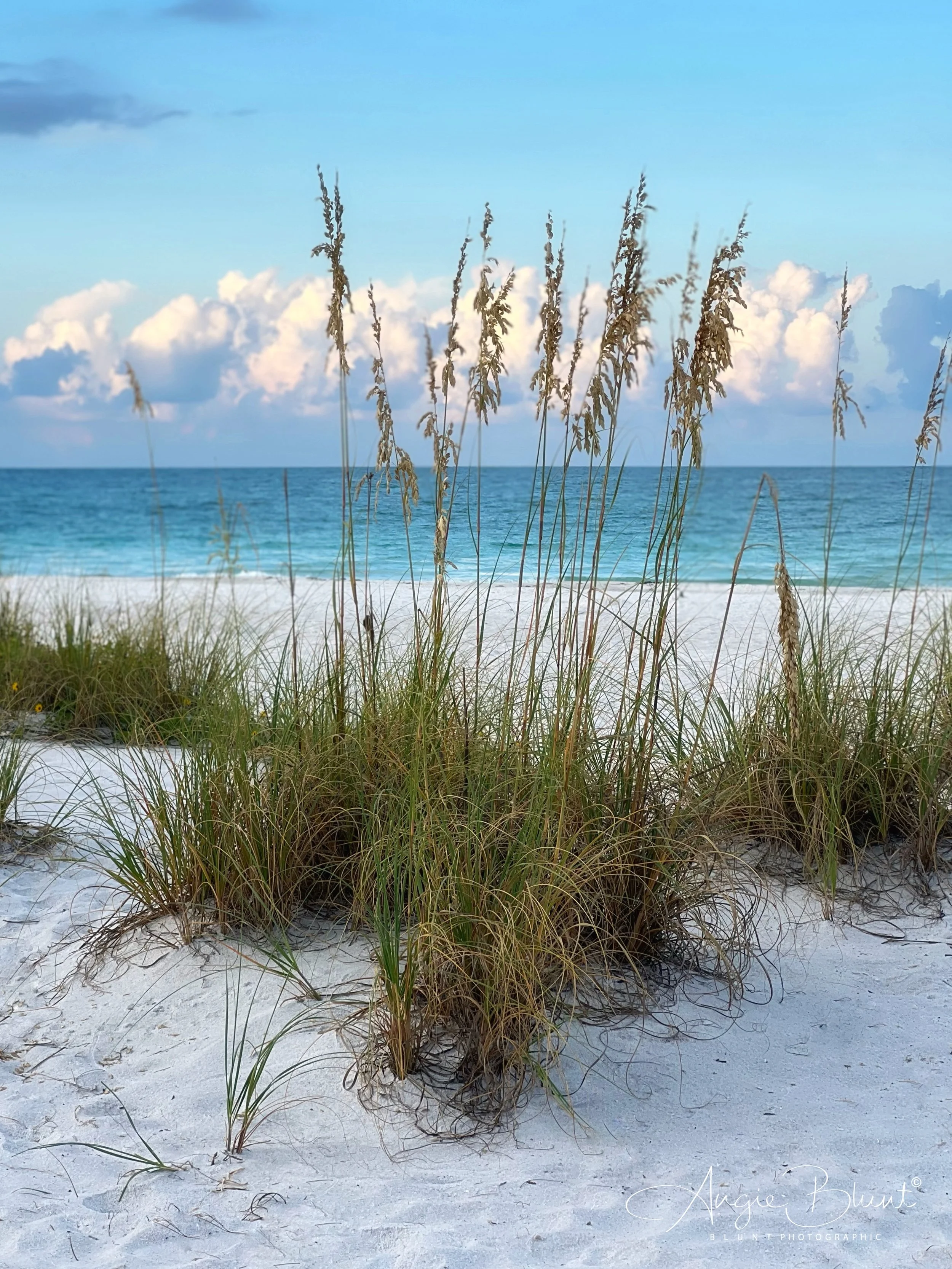 eZy Watermark_21-08-2022_06-14-32PM.JPG