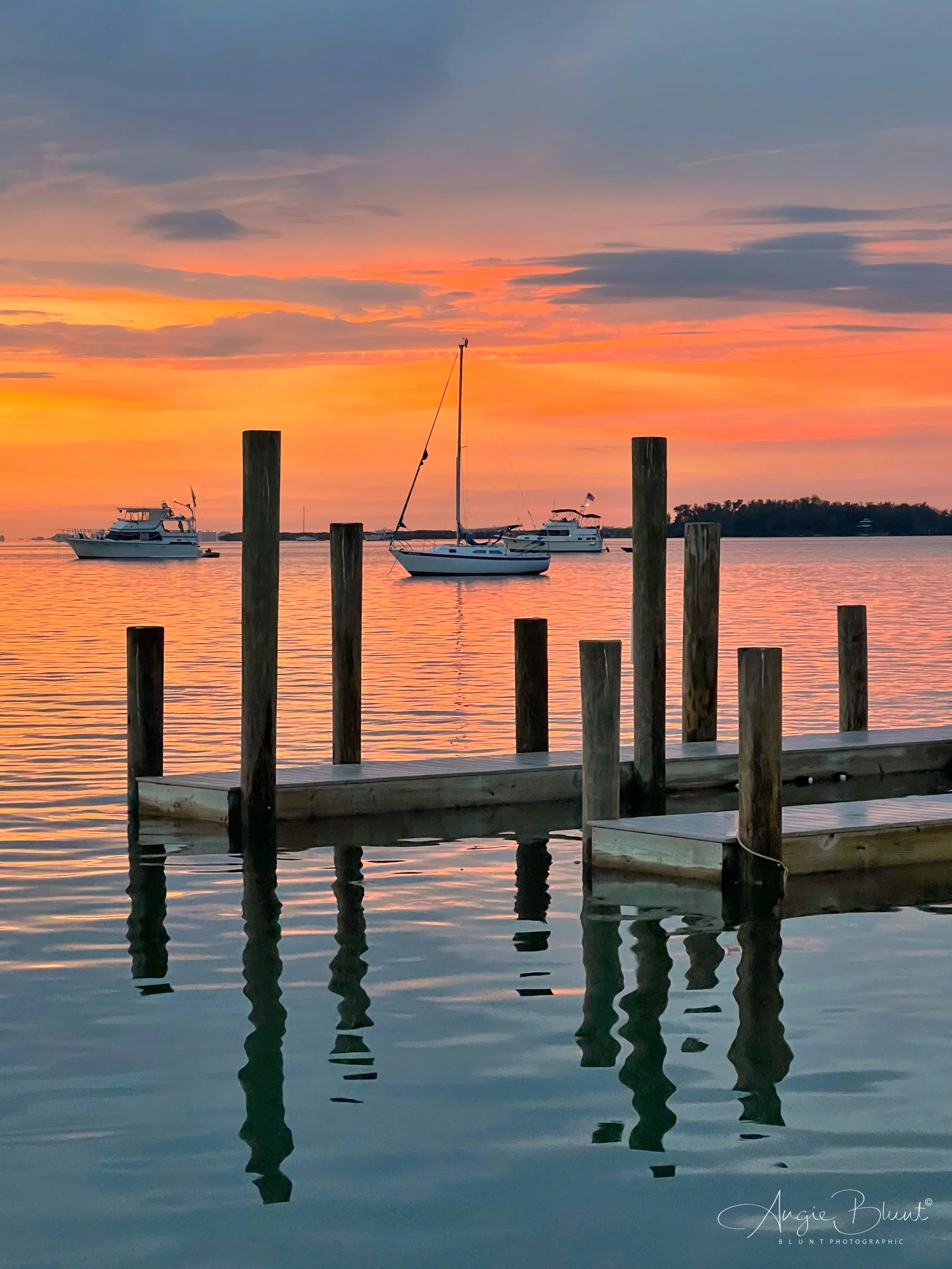 eZy Watermark_05-09-2022_05-51-45PM.JPG