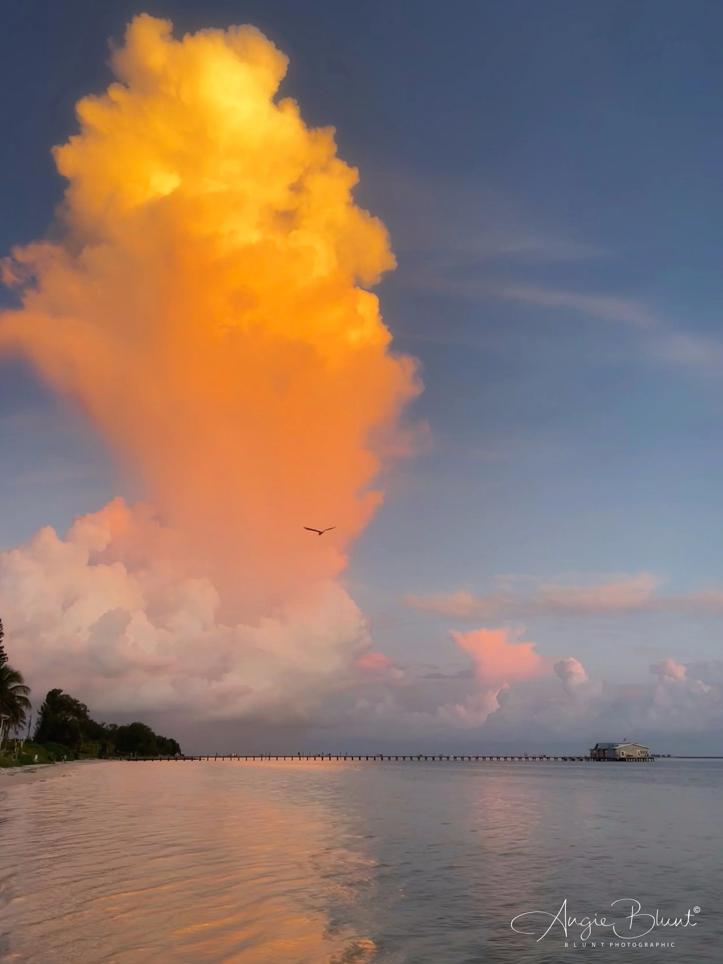 eZy Watermark_01-09-2022_08-08-17PM.JPG