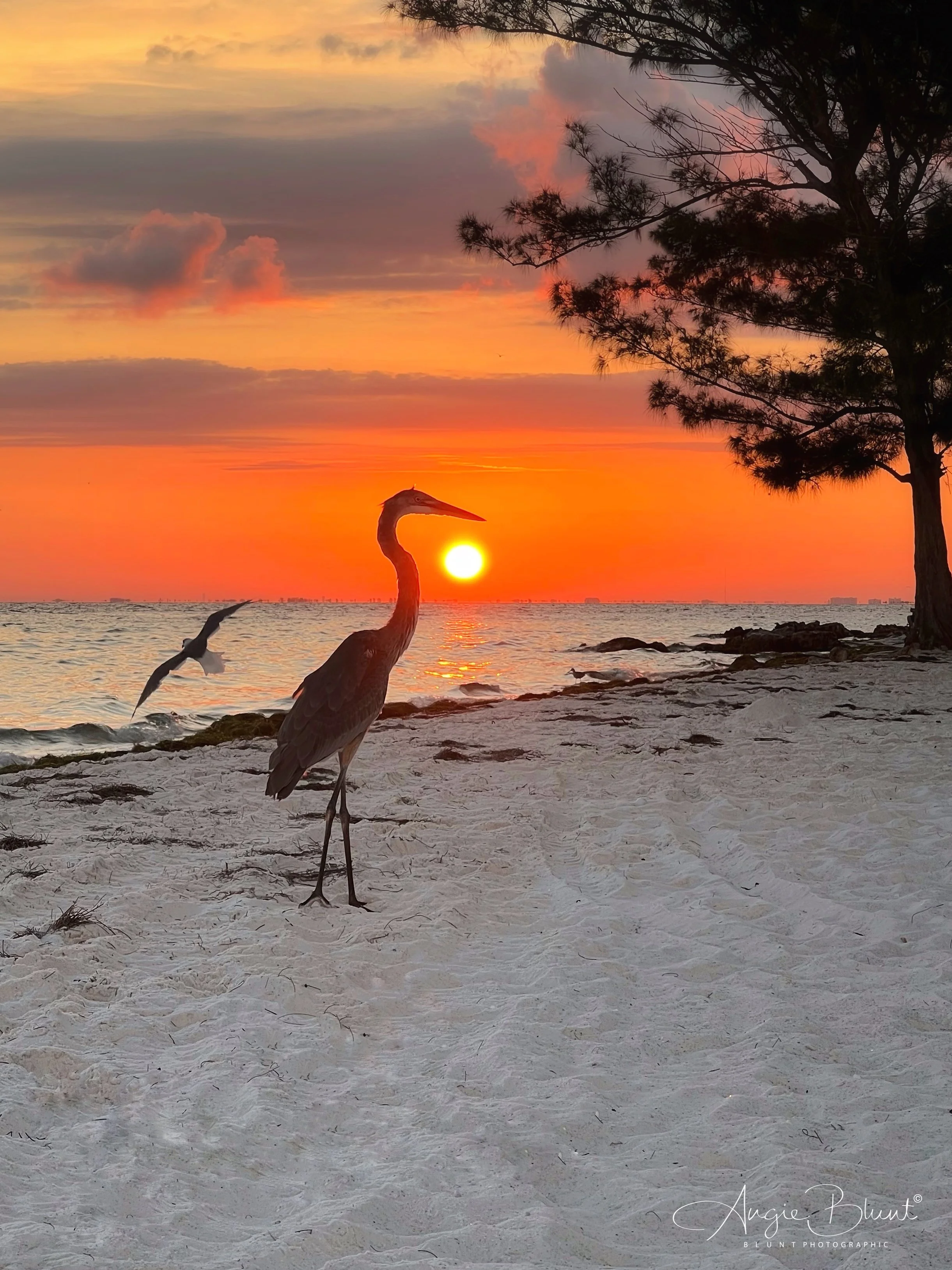 eZy Watermark_08-09-2022_08-08-51PM.JPG