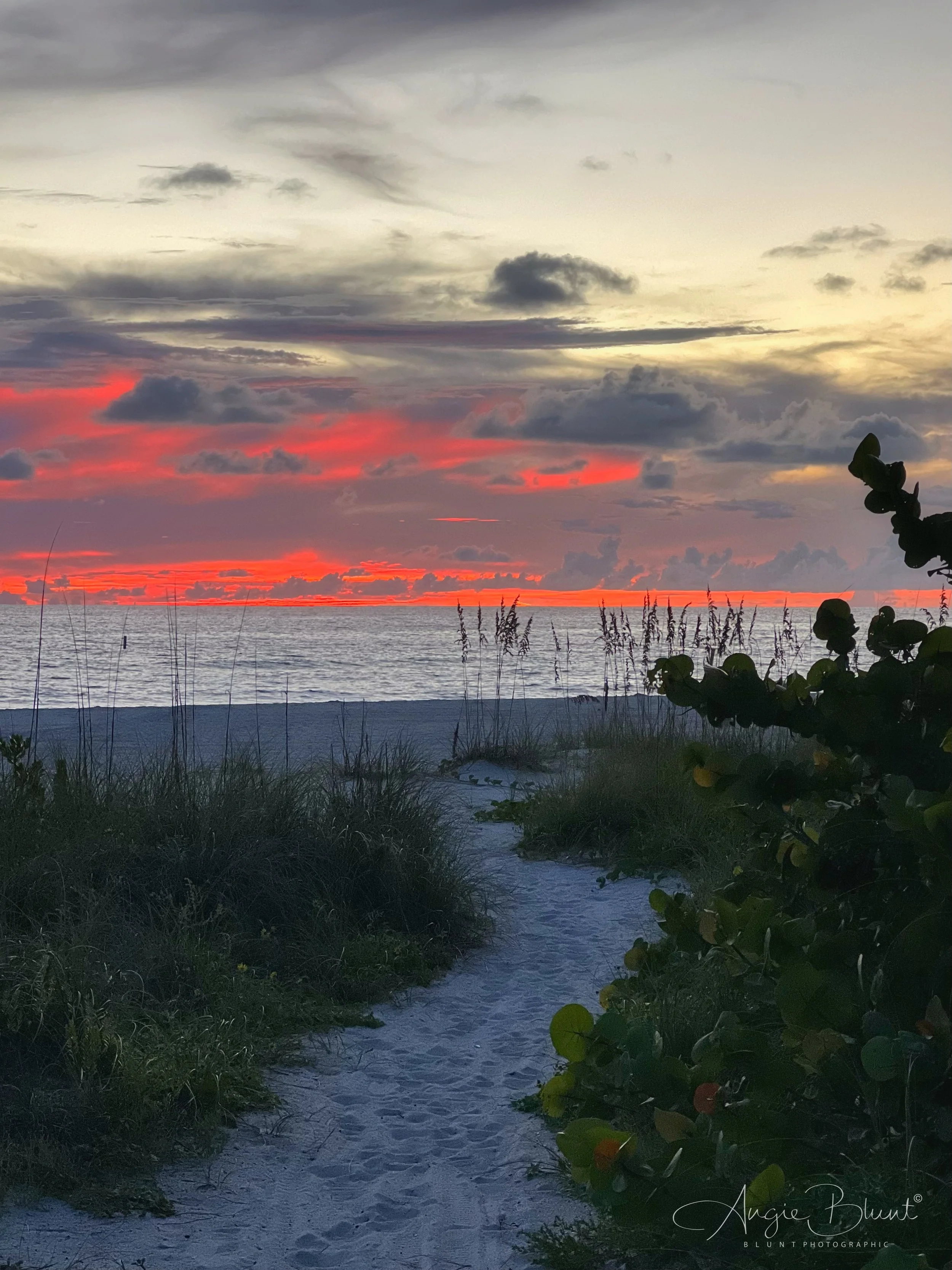 eZy Watermark_13-09-2022_08-41-51PM.JPG