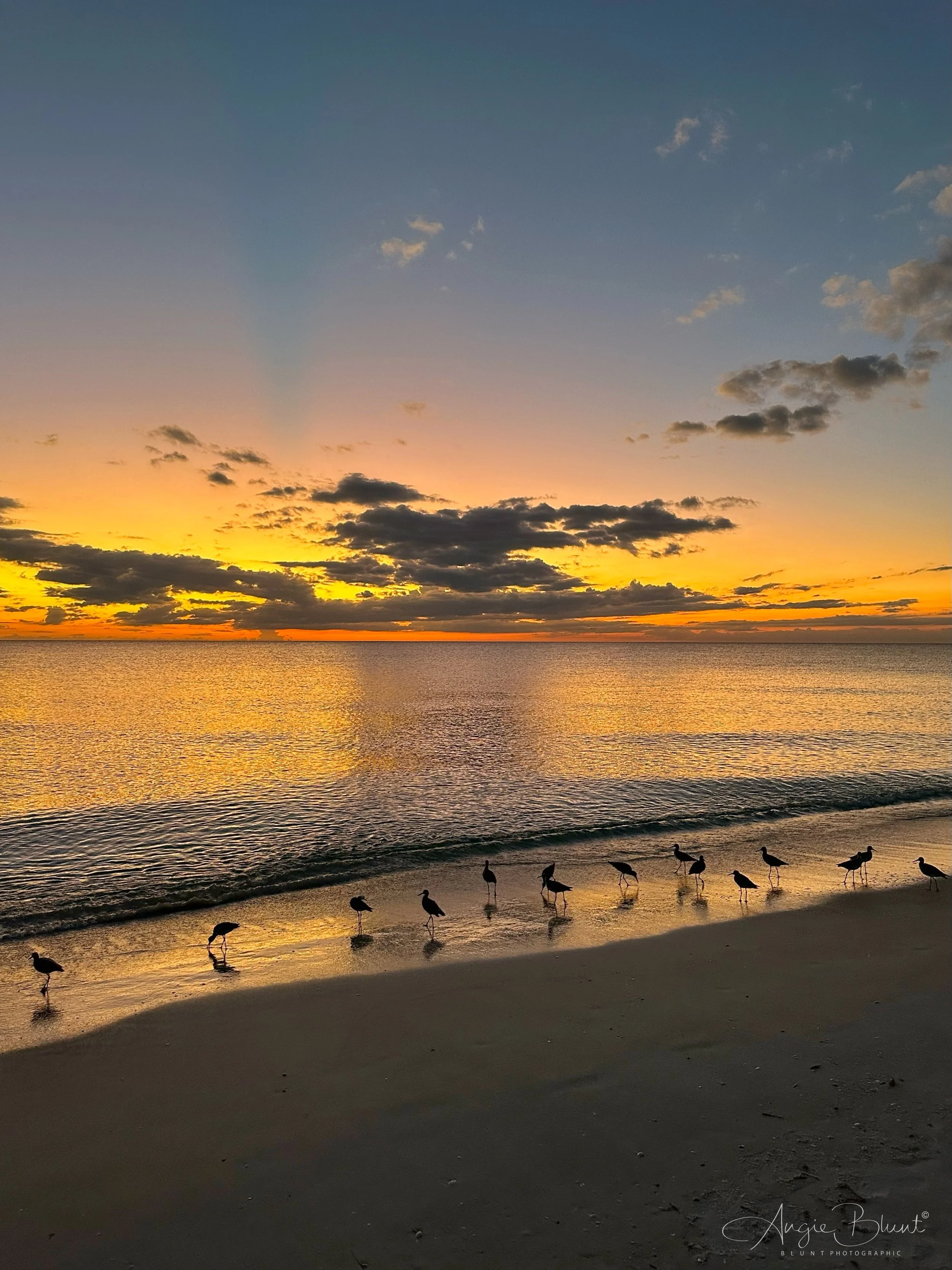 eZy Watermark_15-10-2022_10-54-08PM.JPG