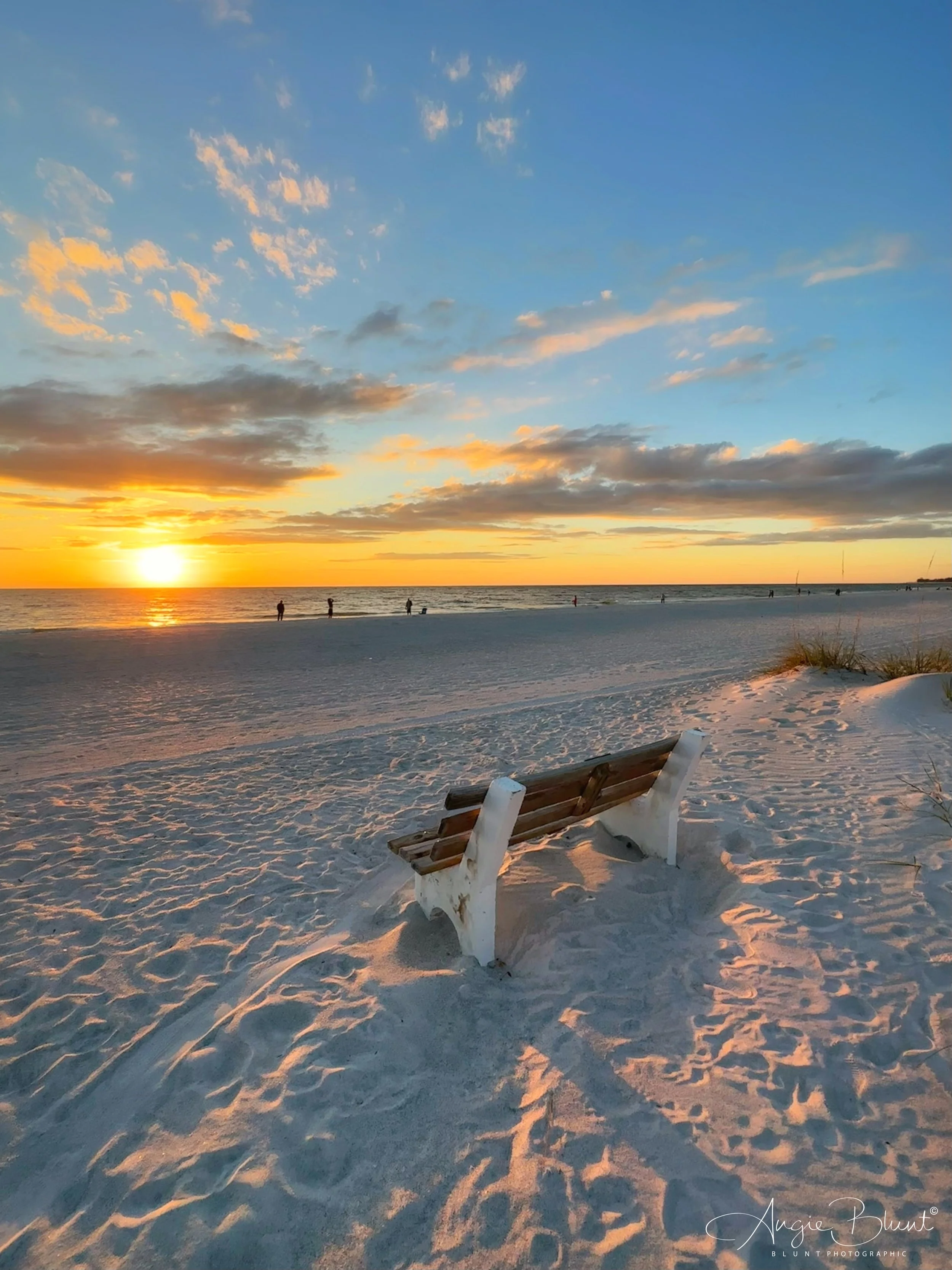 eZy Watermark_20-10-2022_08-45-01PM.JPG