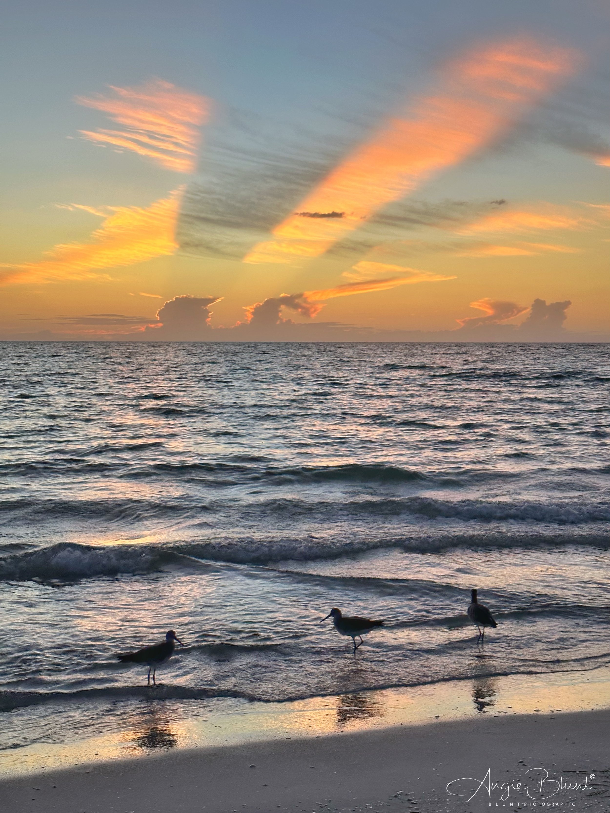 eZy Watermark_30-10-2022_08-40-13PM.JPG