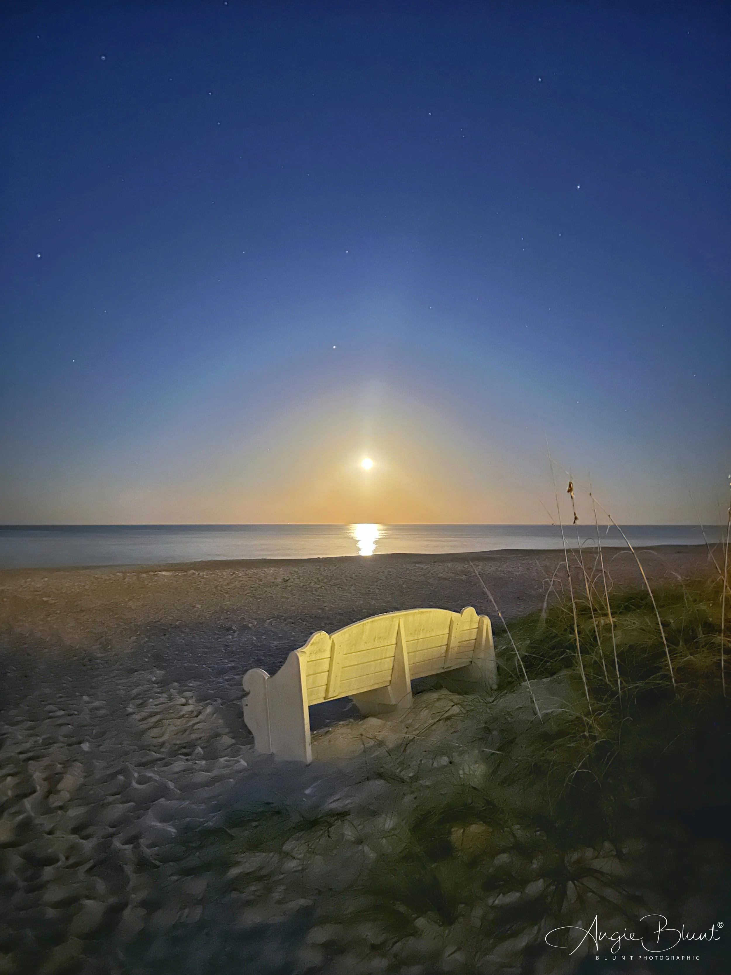 eZy Watermark_07-12-2022_07-19-39AM.JPG