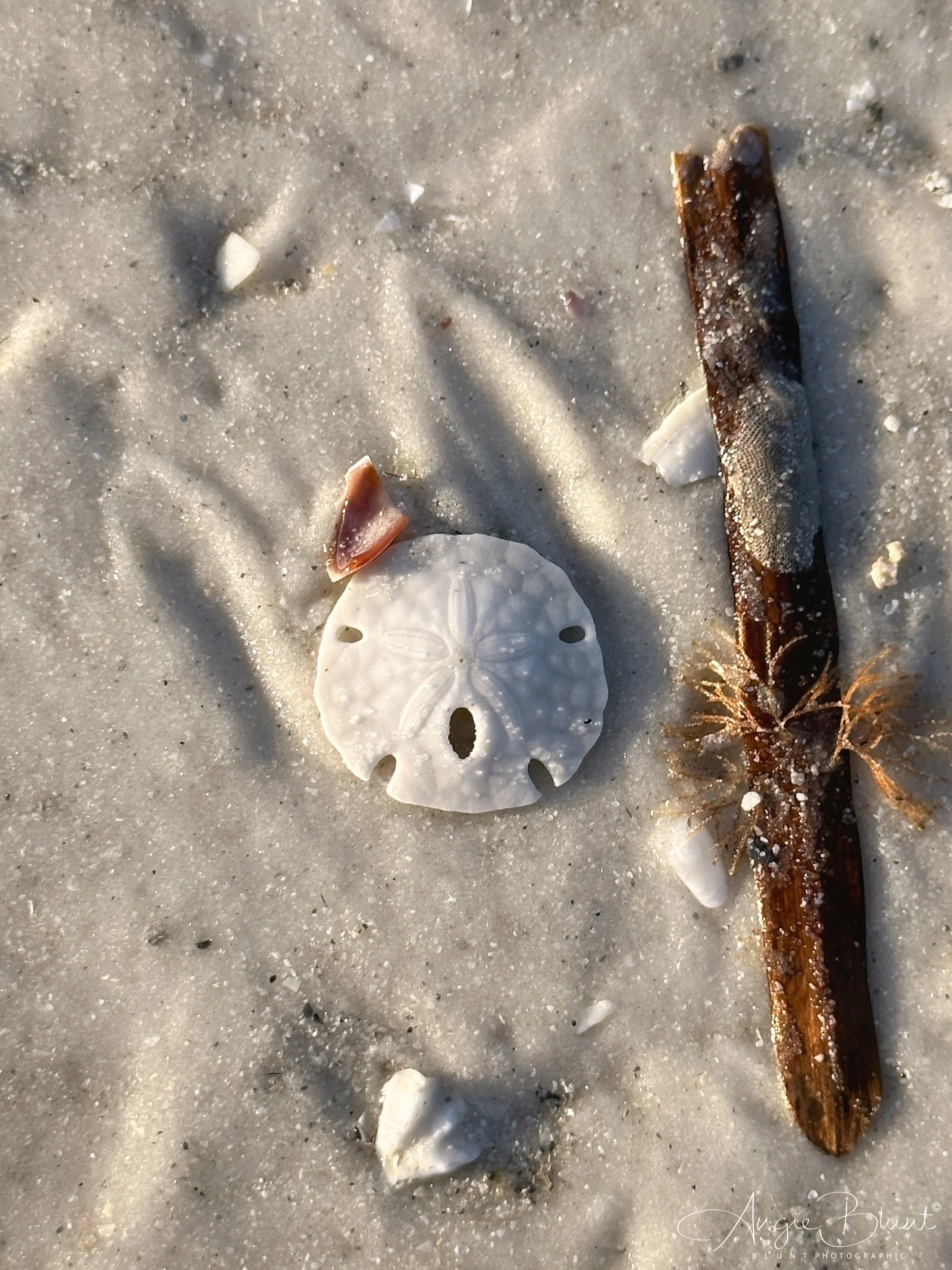 eZy Watermark_01-12-2022_09-06-42PM.JPG