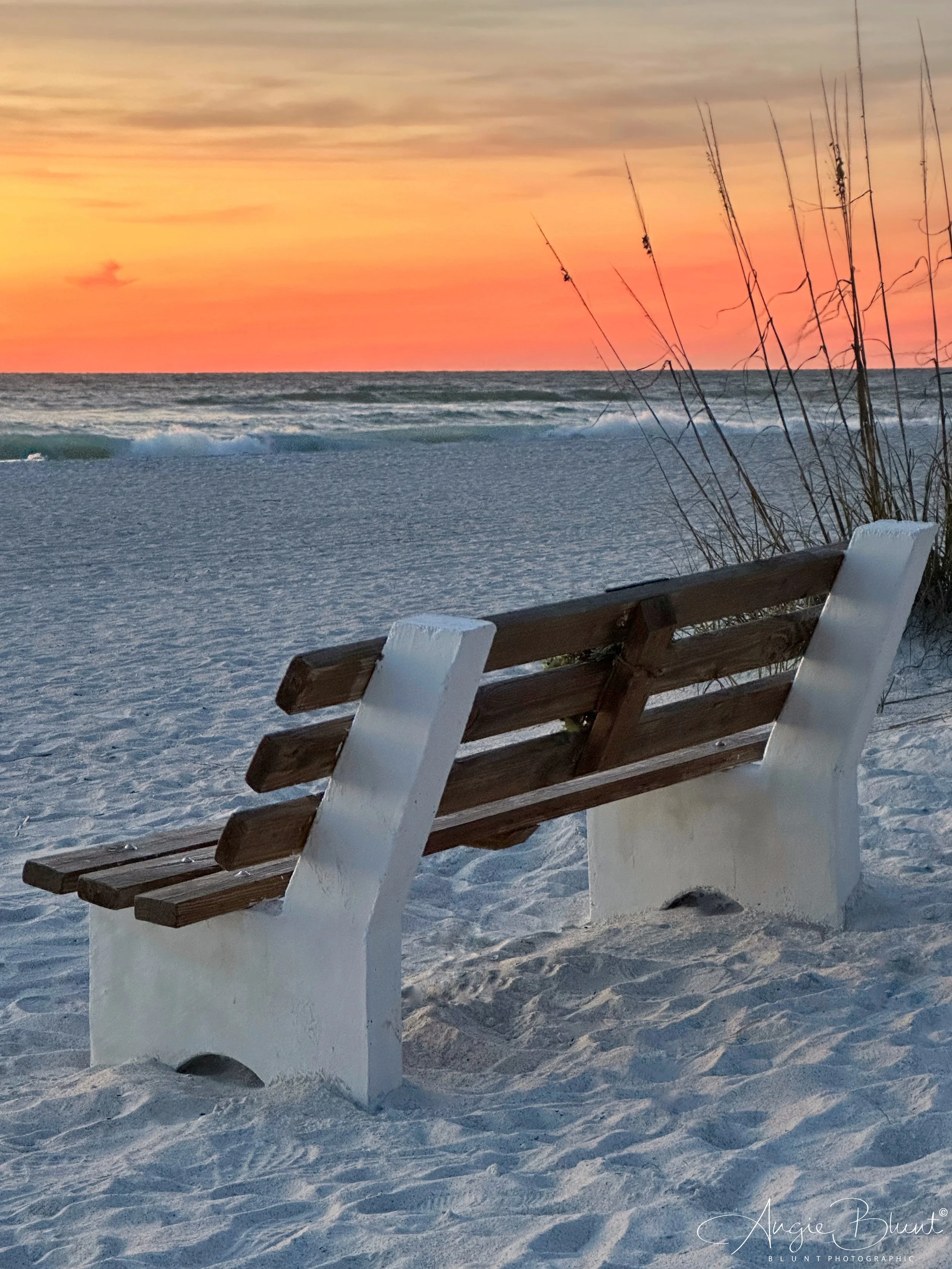 eZy Watermark_19-12-2022_08-02-34AM.JPG