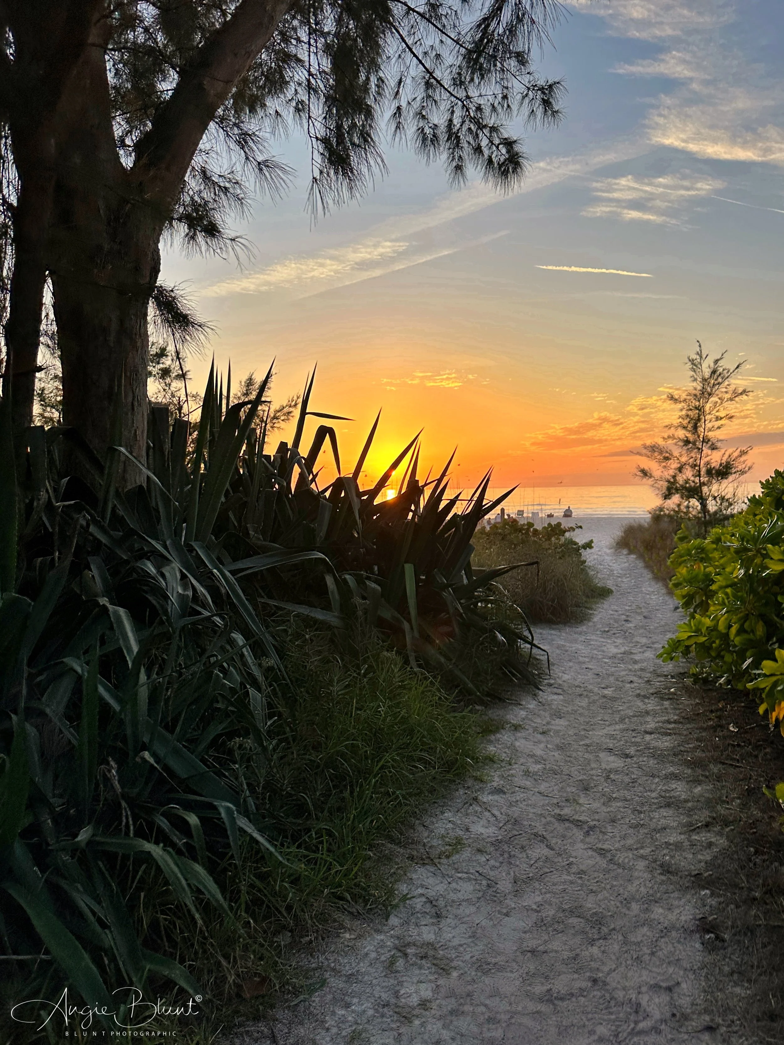 eZy Watermark_03-01-2023_09-20-34AM.JPG