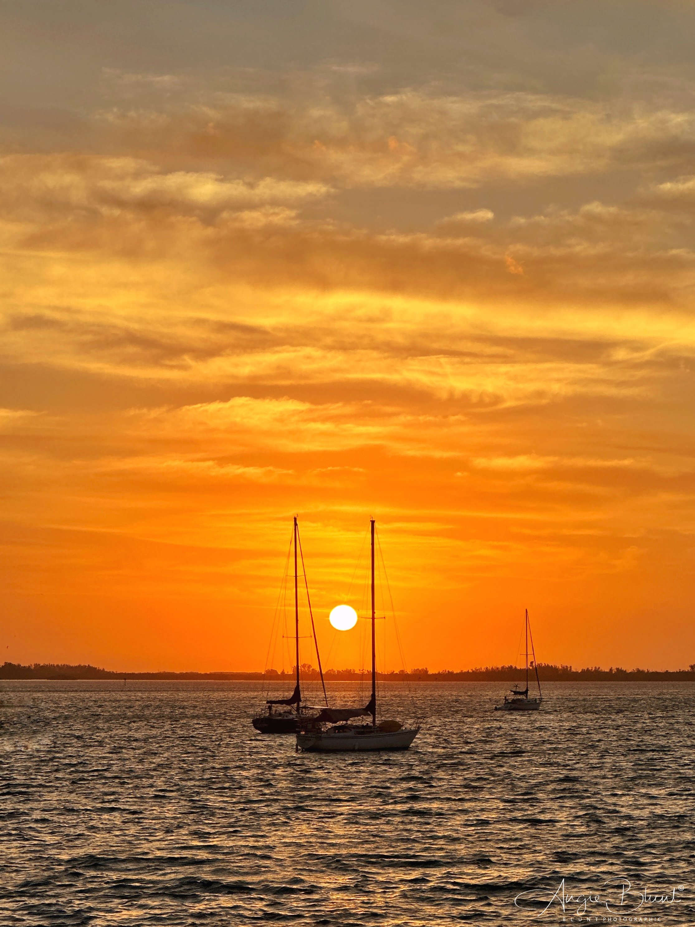 eZy Watermark_04-01-2023_09-56-27PM.JPG