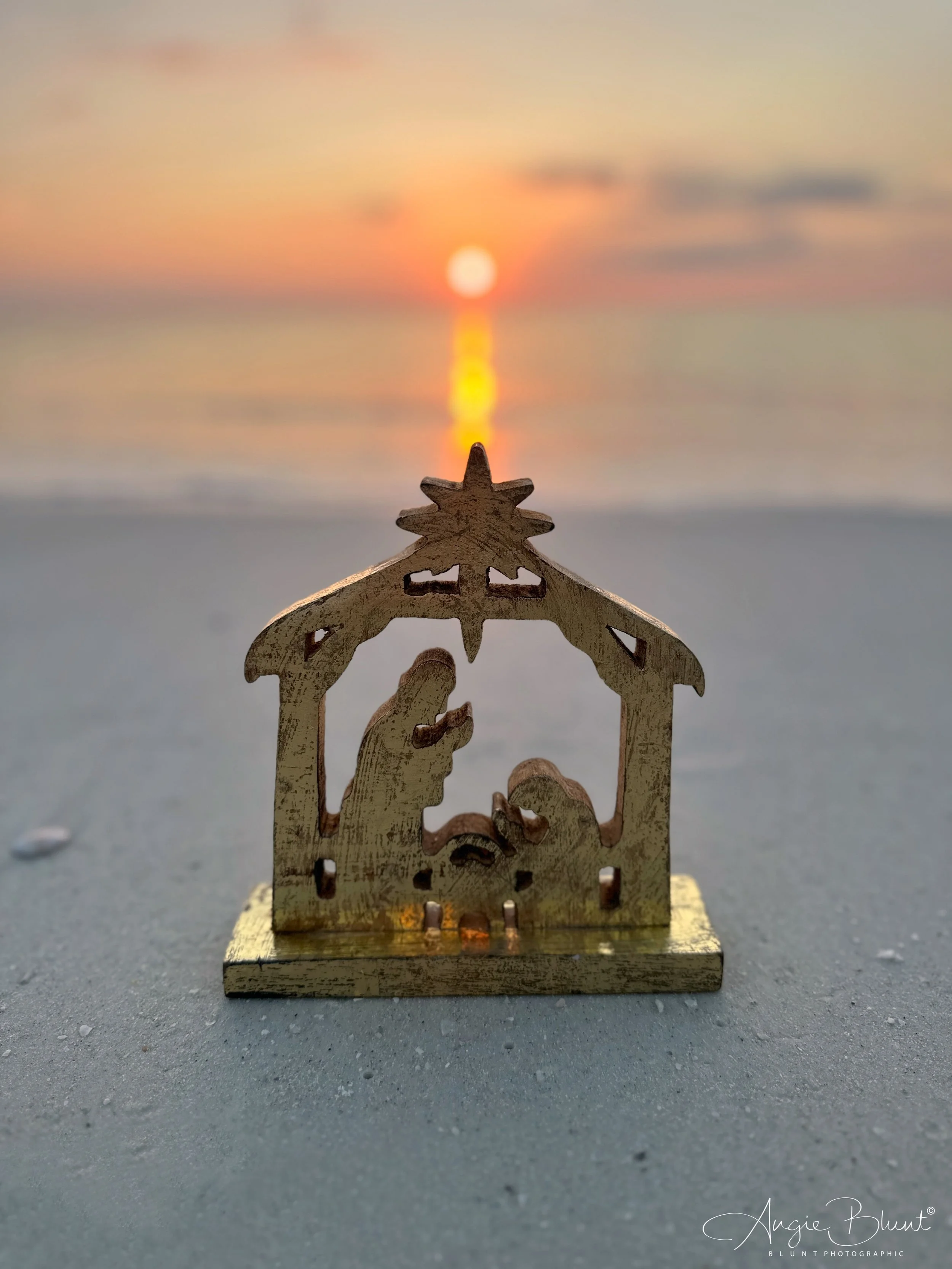 eZy Watermark_22-12-2022_07-38-56AM.JPG