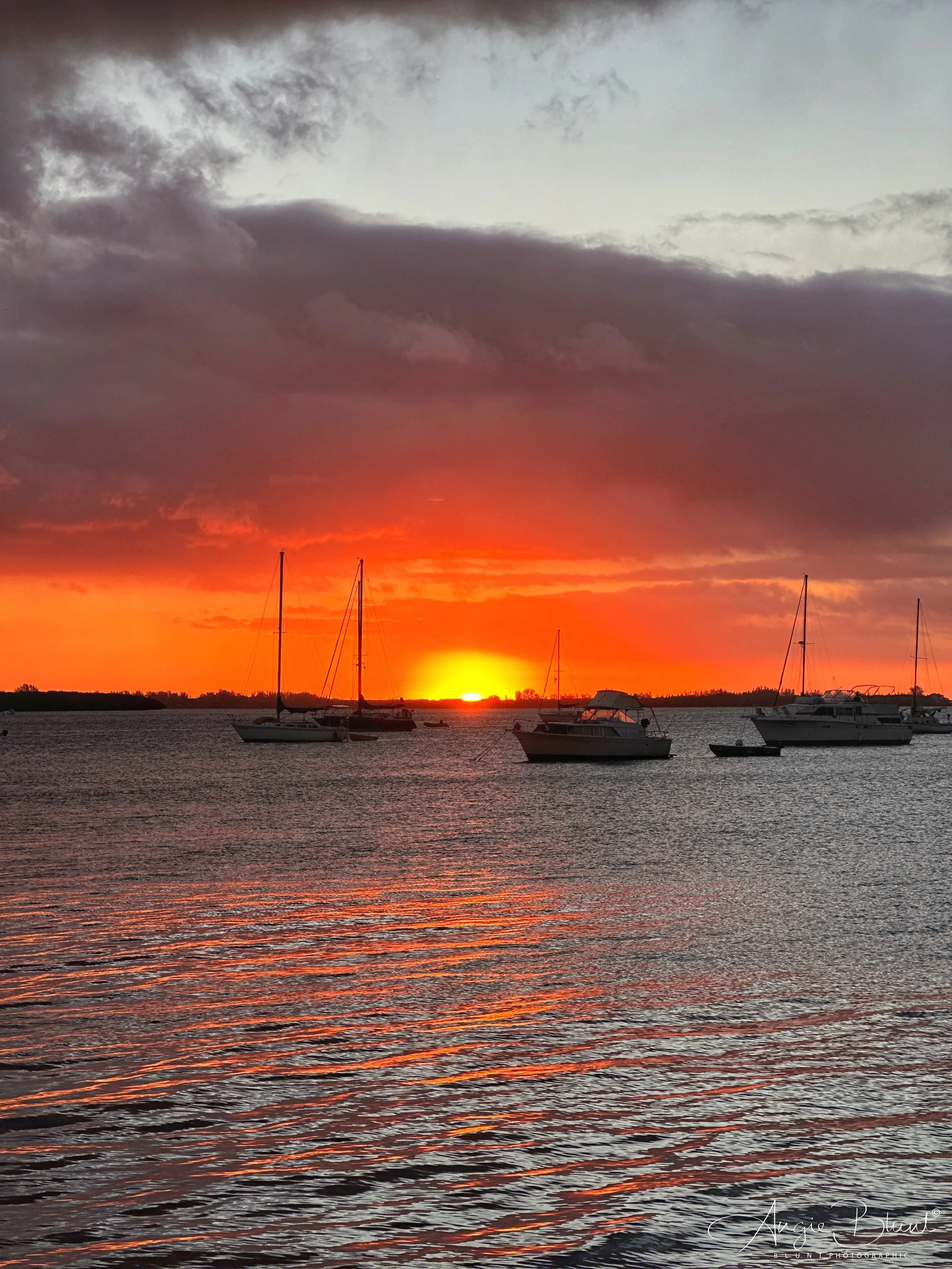 eZy Watermark_14-01-2023_11-03-50PM.JPG