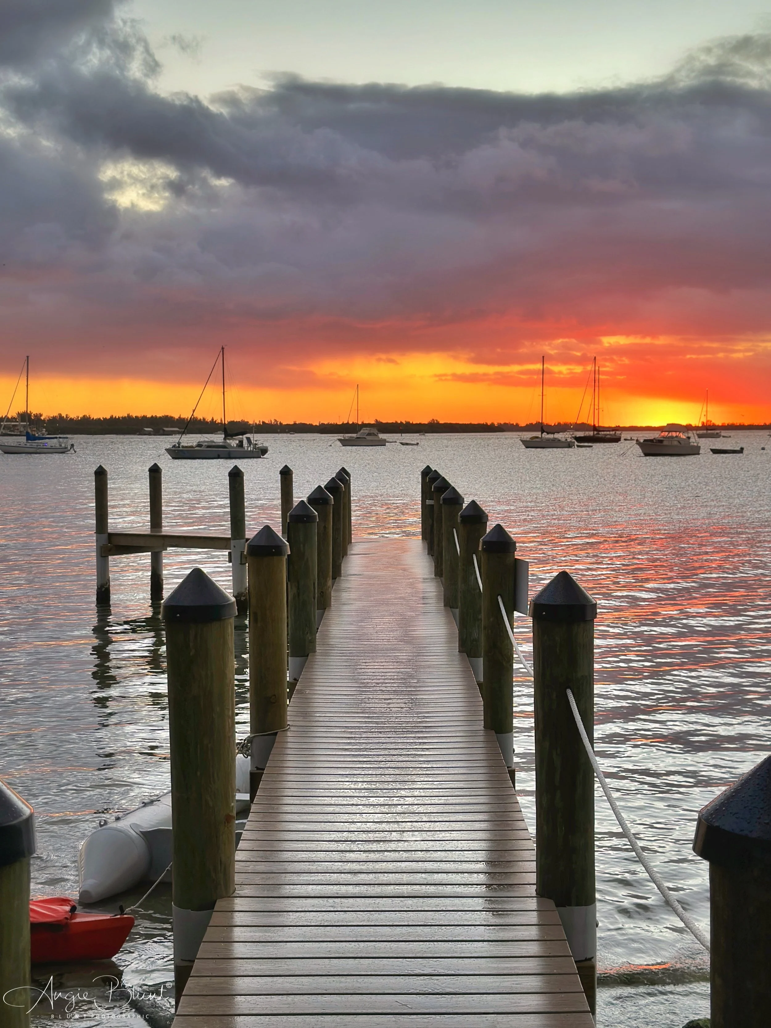 eZy Watermark_14-01-2023_09-10-34AM.JPG