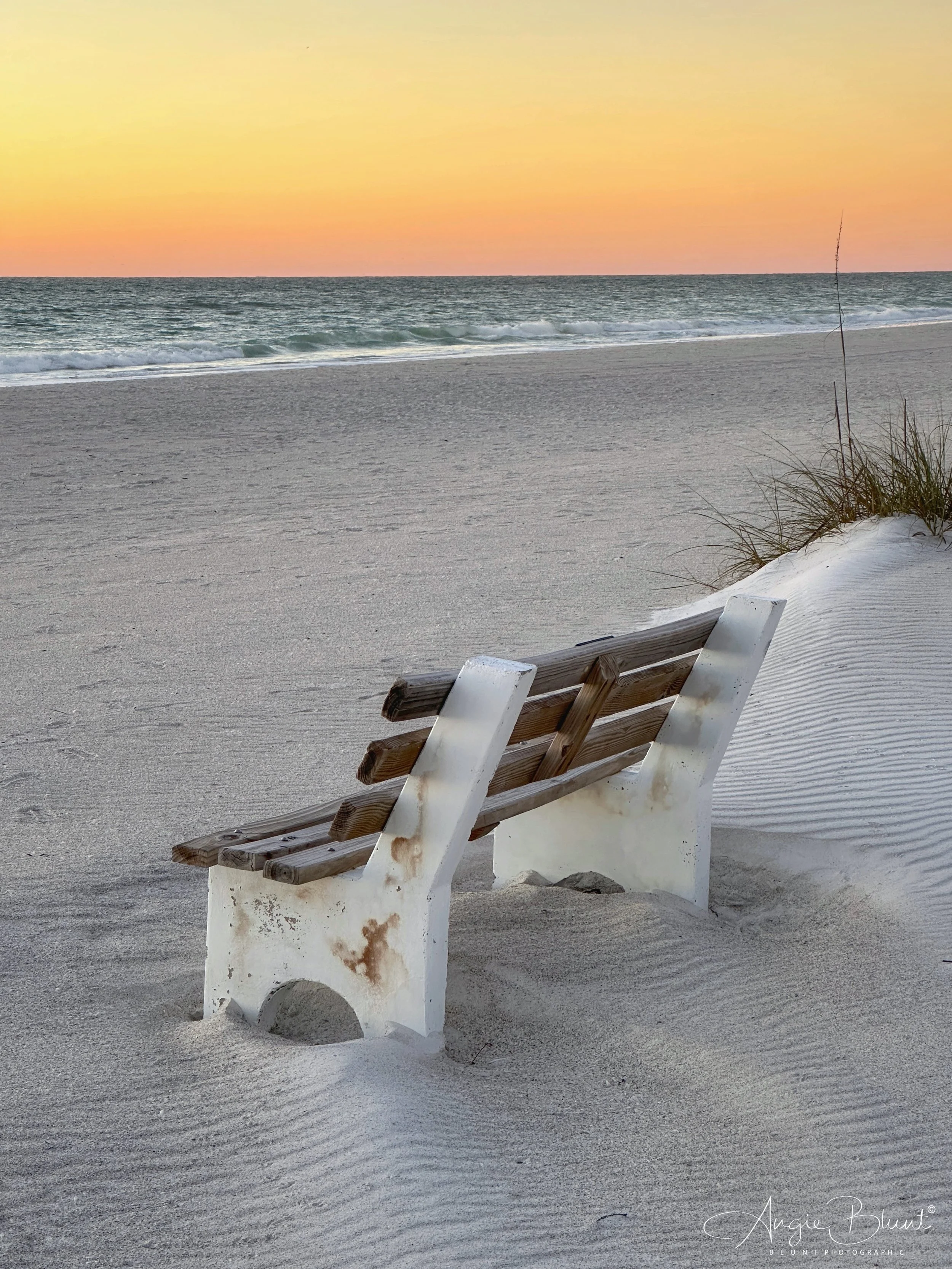 eZy Watermark_16-01-2023_07-23-30AM.JPG