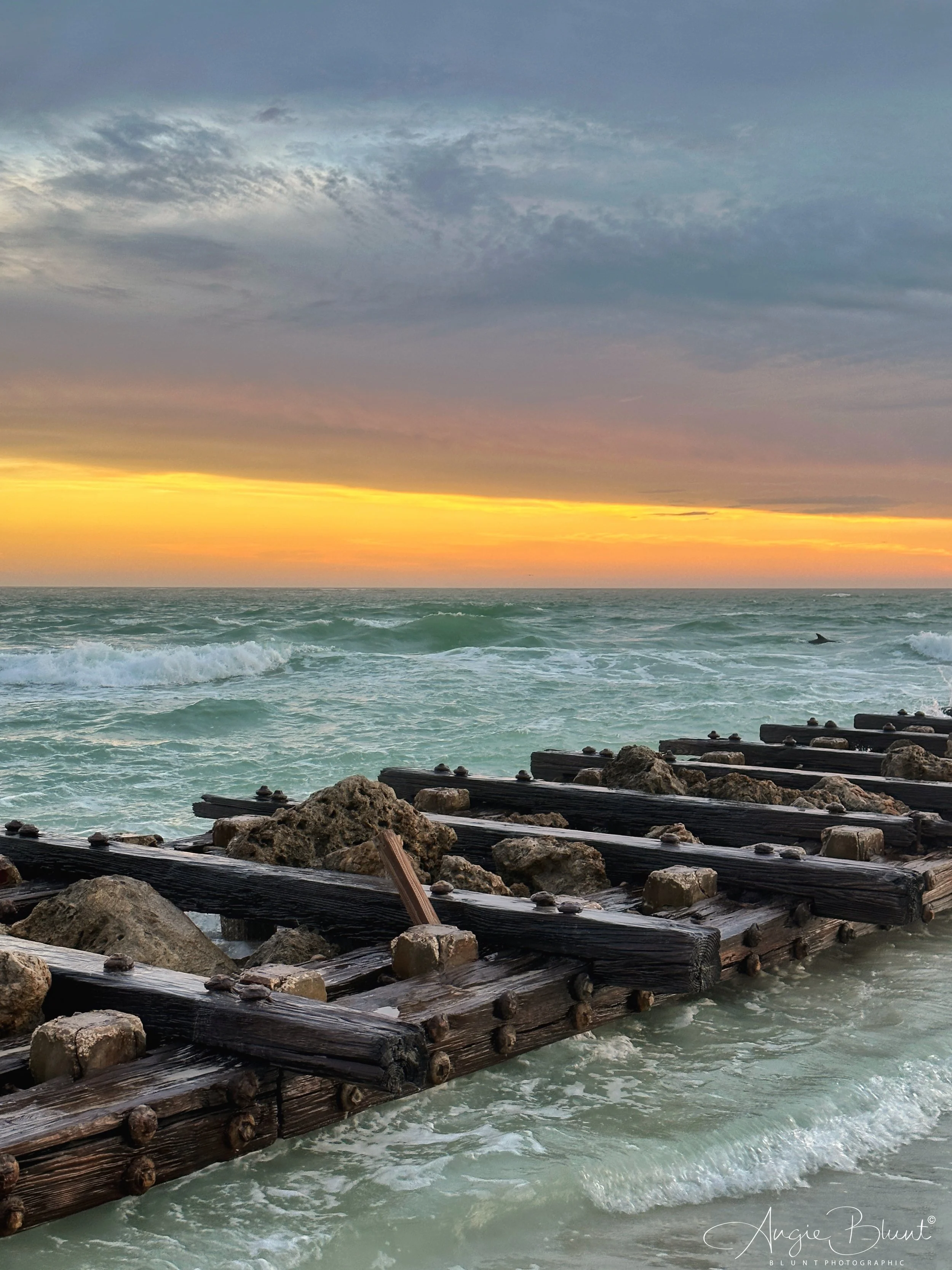 eZy Watermark_19-01-2023_09-08-23PM.JPG