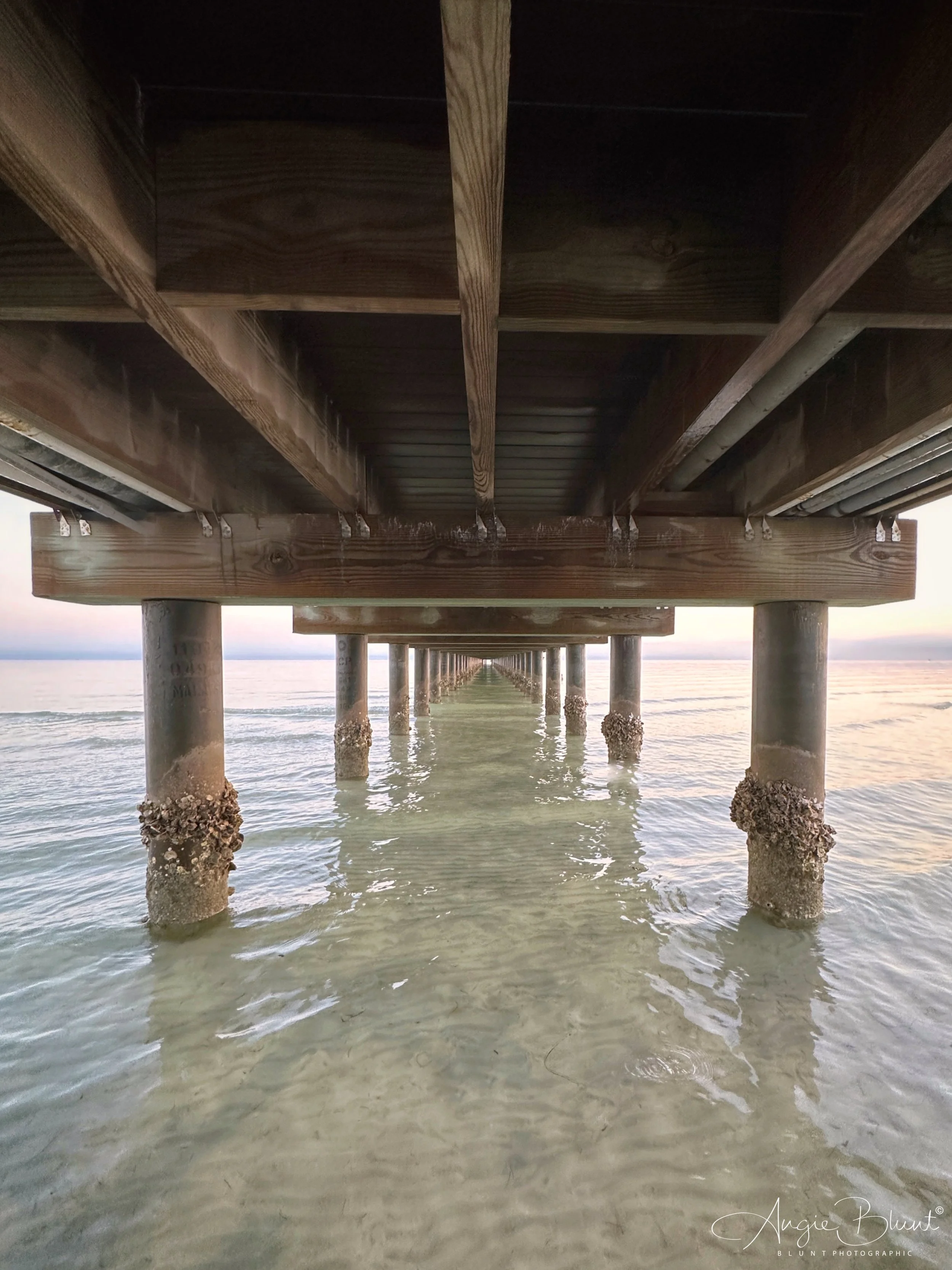 eZy Watermark_22-01-2023_07-58-39AM.JPG