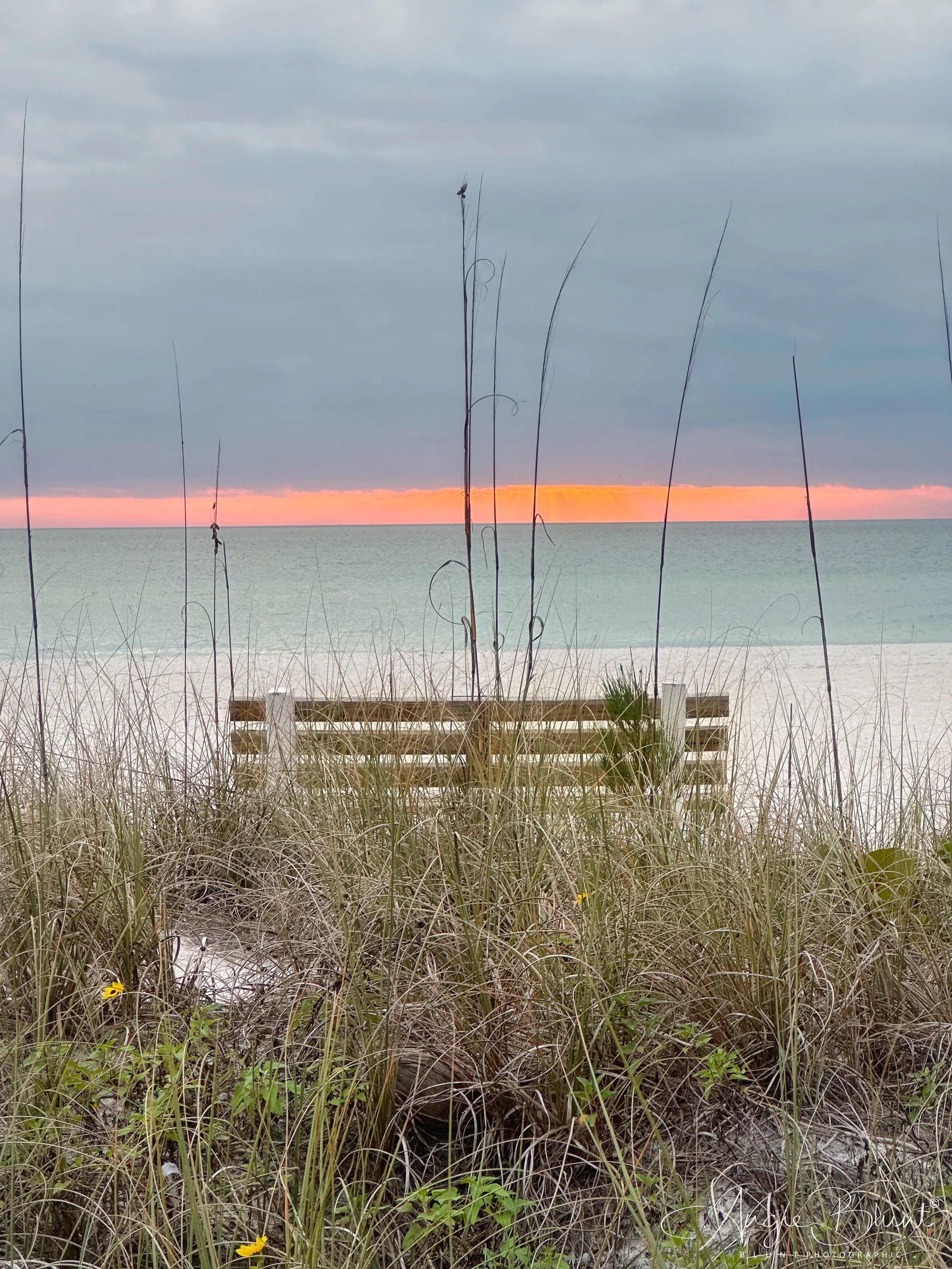 eZy Watermark_24-01-2023_08-22-46PM.JPG