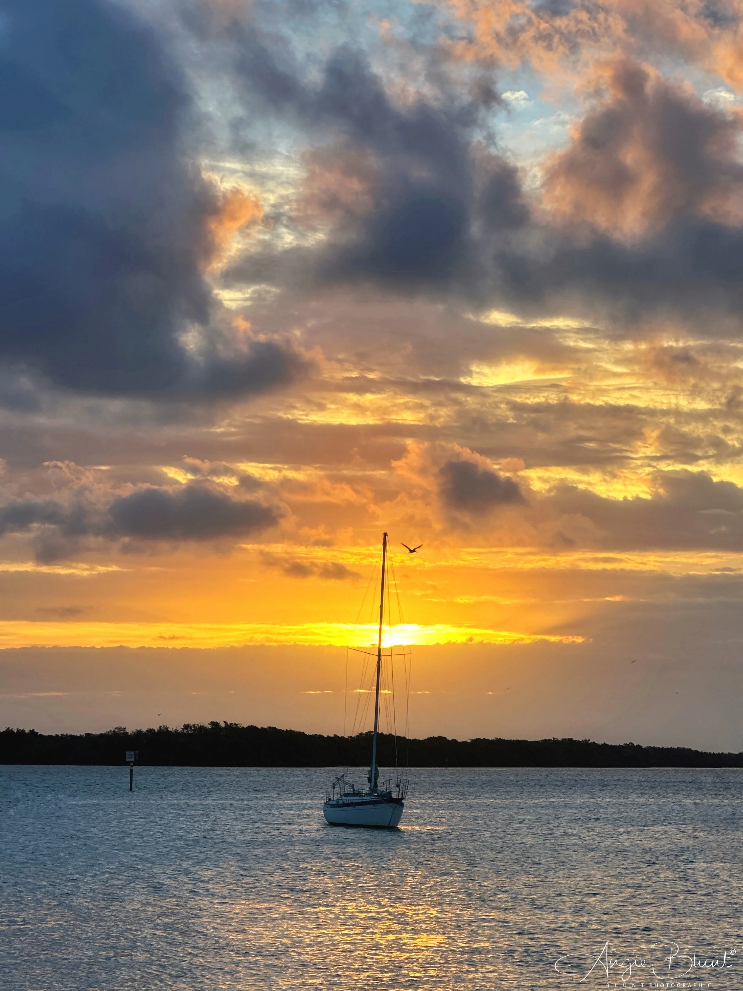 eZy Watermark_26-01-2023_07-47-00AM.JPG