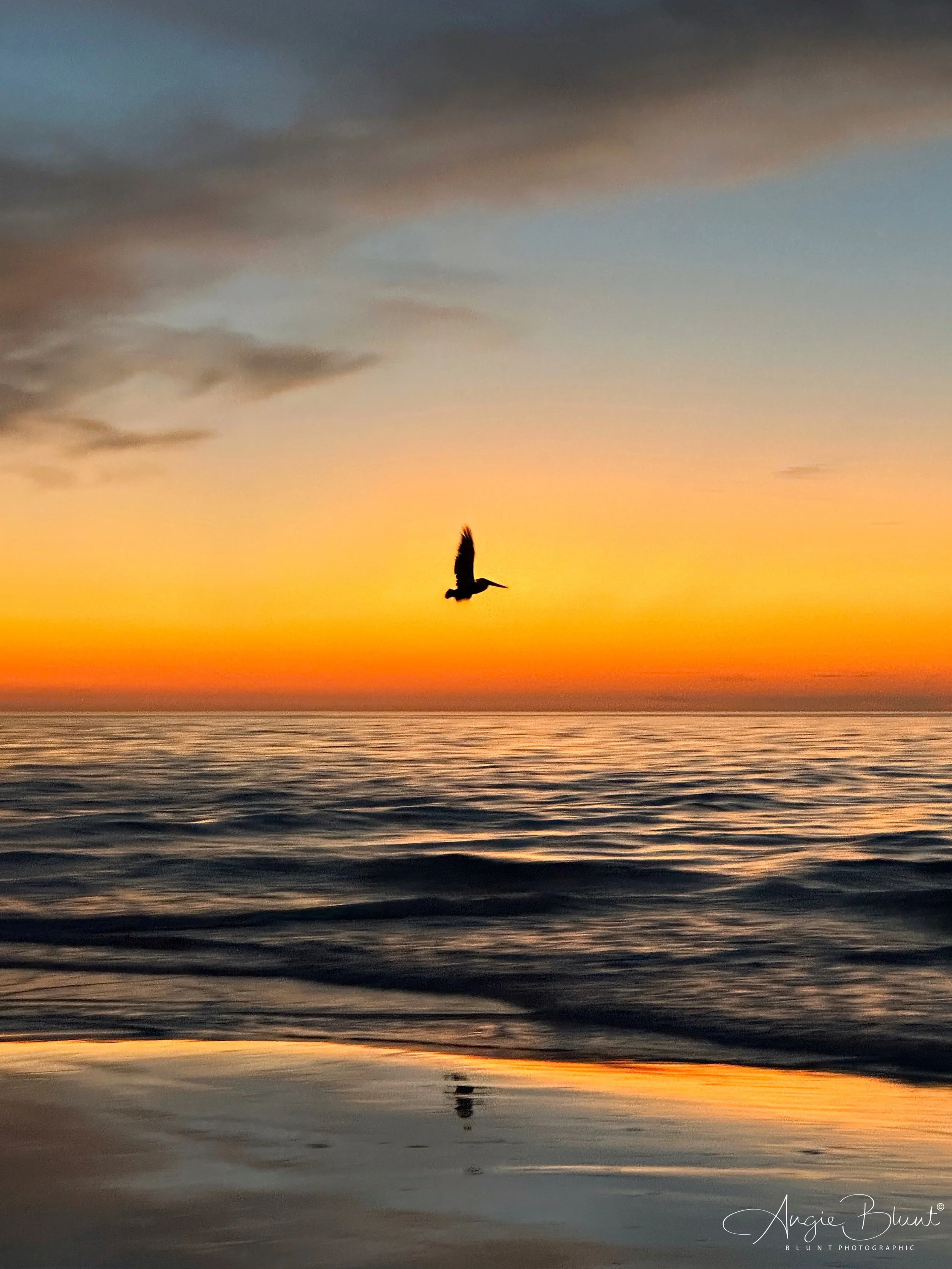 eZy Watermark_31-01-2023_08-31-44PM.JPG